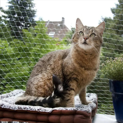 Filet de Protection Chat avec Accessoires de Montage - vue 2