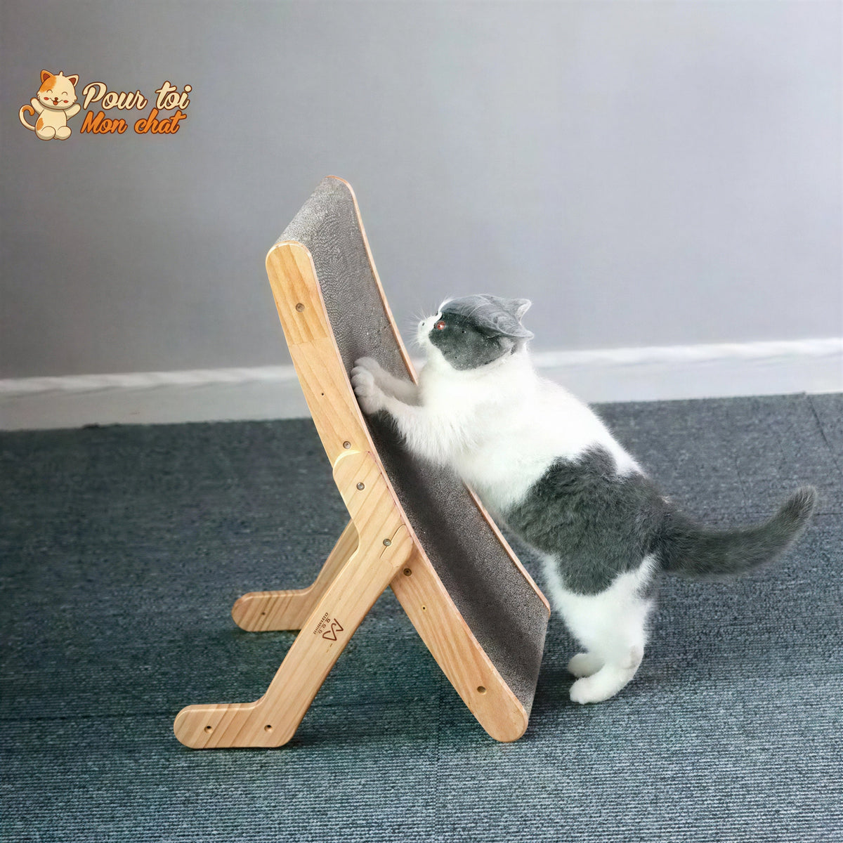 La planche à gratter 3 en 1 Griffoir, Lit, Jouet - pour Chat - Grat’Minou™ Pour toi Mon chat