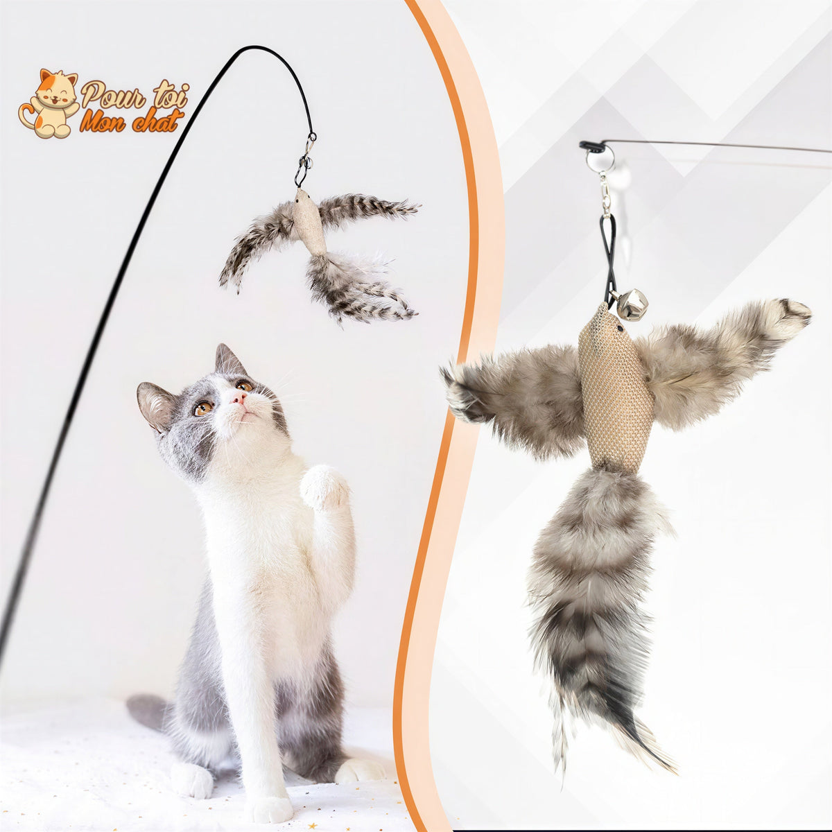 Jouet pour Chat Interactif à Ventouse - Simulation d’Oiseau et Plumes Amovibles Pour toi Mon chat