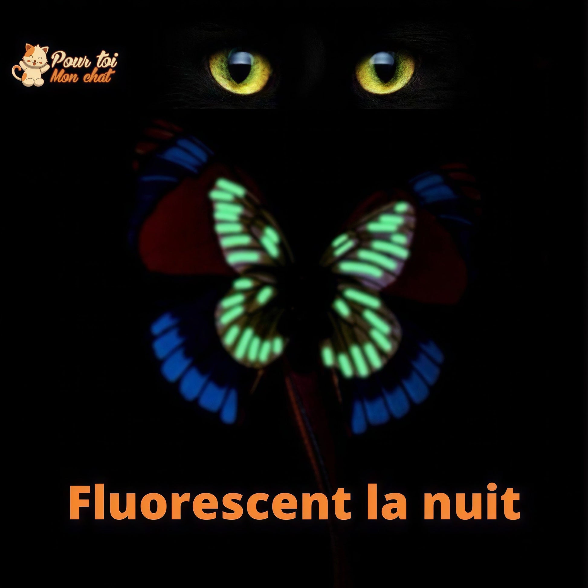 Jouet Papillon Volant pour Chat - Attrap'Papillon™ Pour toi Mon chat