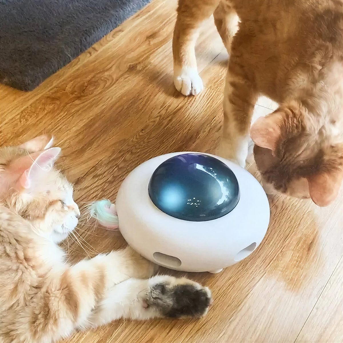 Jouet intelligent lumineux et rechargeable en forme d'ovni avec plumes pour chat - vue 6
