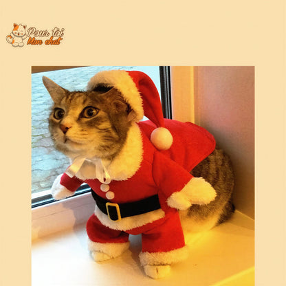 Noël - Déguisement de Père Noël pour Chat - Chat’Noël™ Pour toi Mon chat