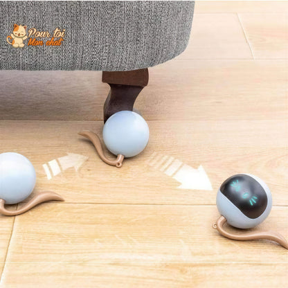 Balle Magique Lumineuse pour Chat - Catch'Cat™ Pour toi Mon chat