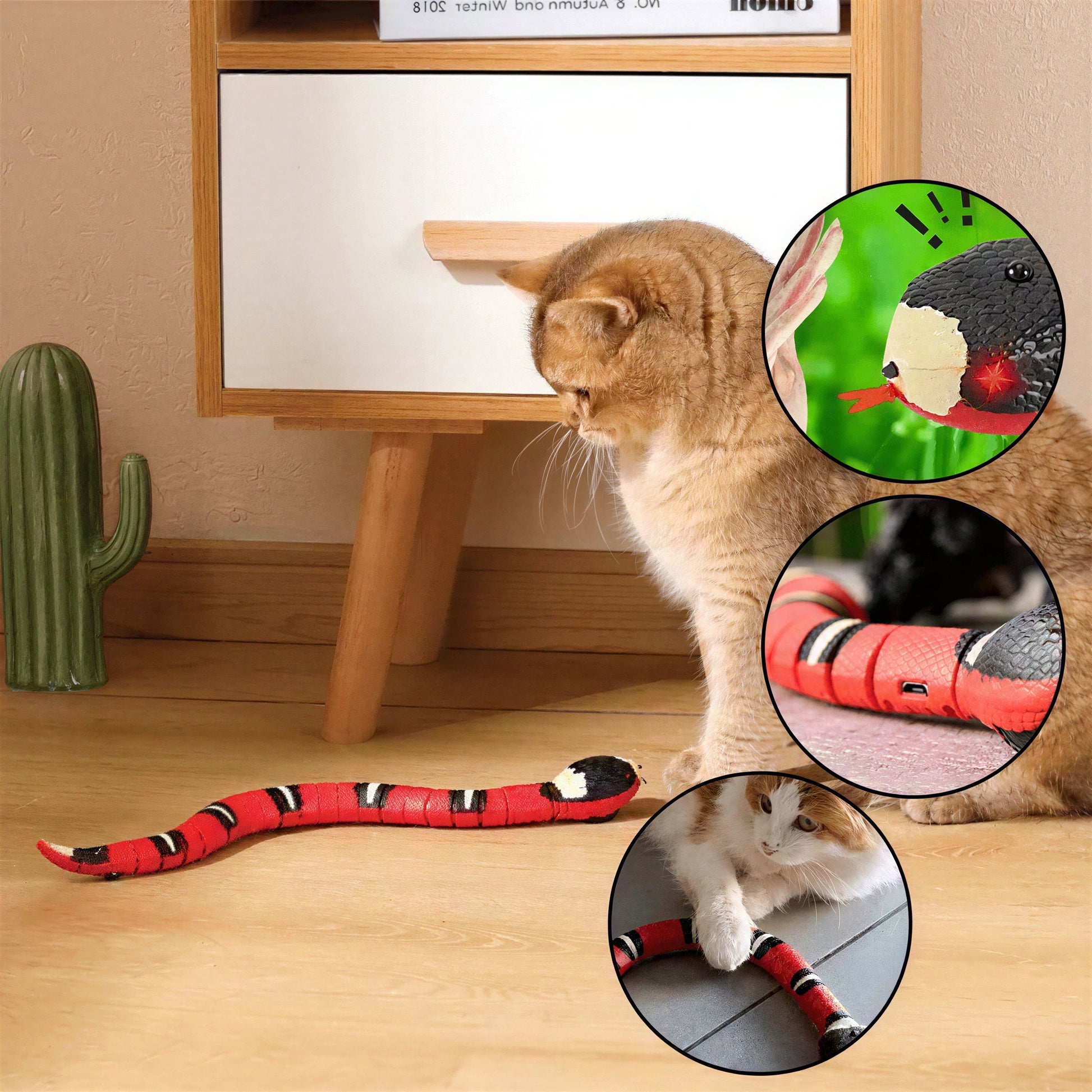 Jouet pour Chat - Serpent Interactif Pour toi Mon chat