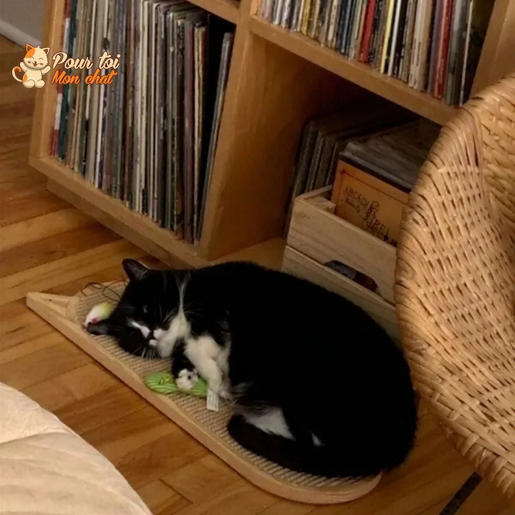 Grattoir mural en sisal pour chat - vue 2