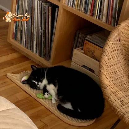 Grattoir mural en sisal pour chat - vue 2