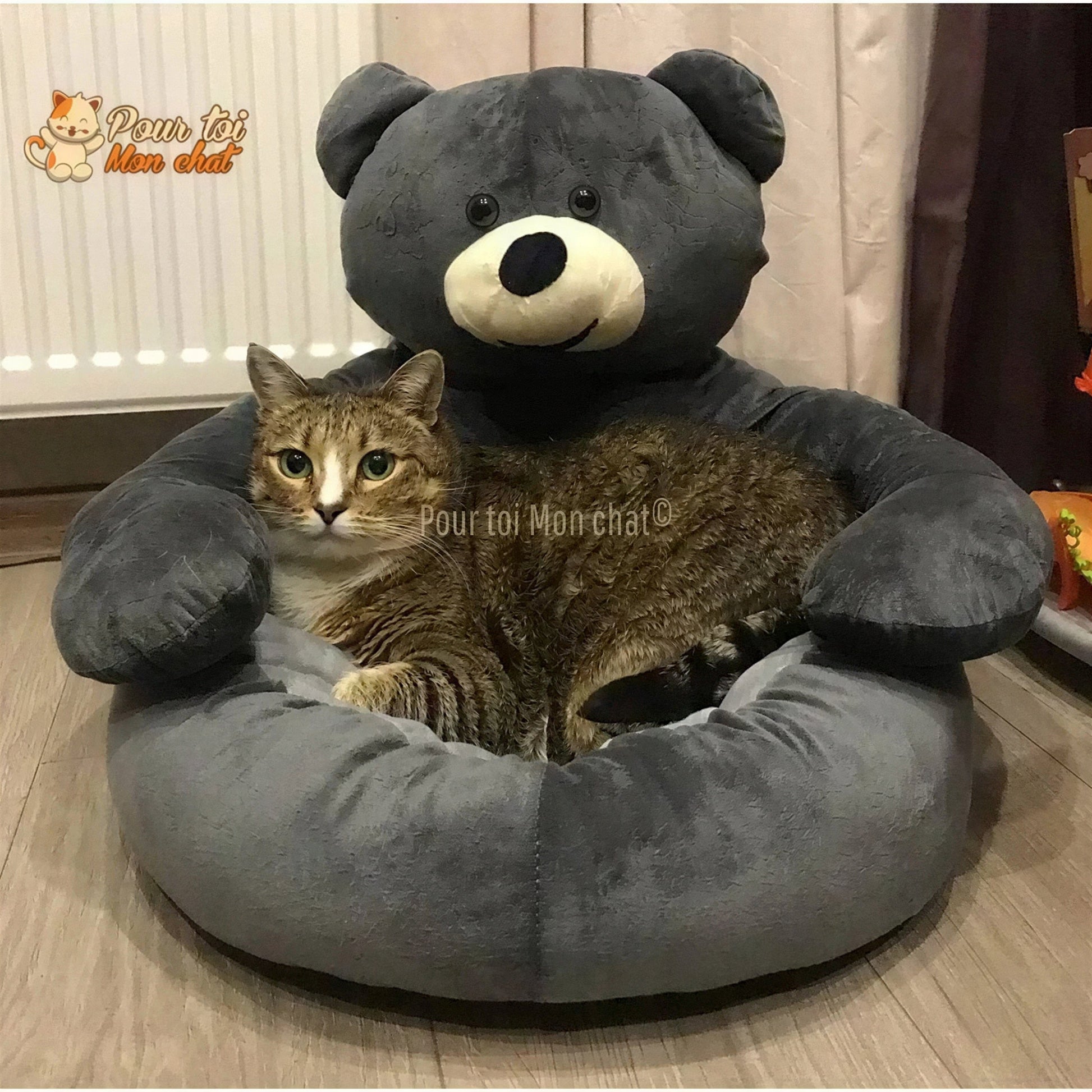 NICHE EN PELUCHE OURSON POUR CHAT - OURSàCHAT™ Pour toi Mon chat