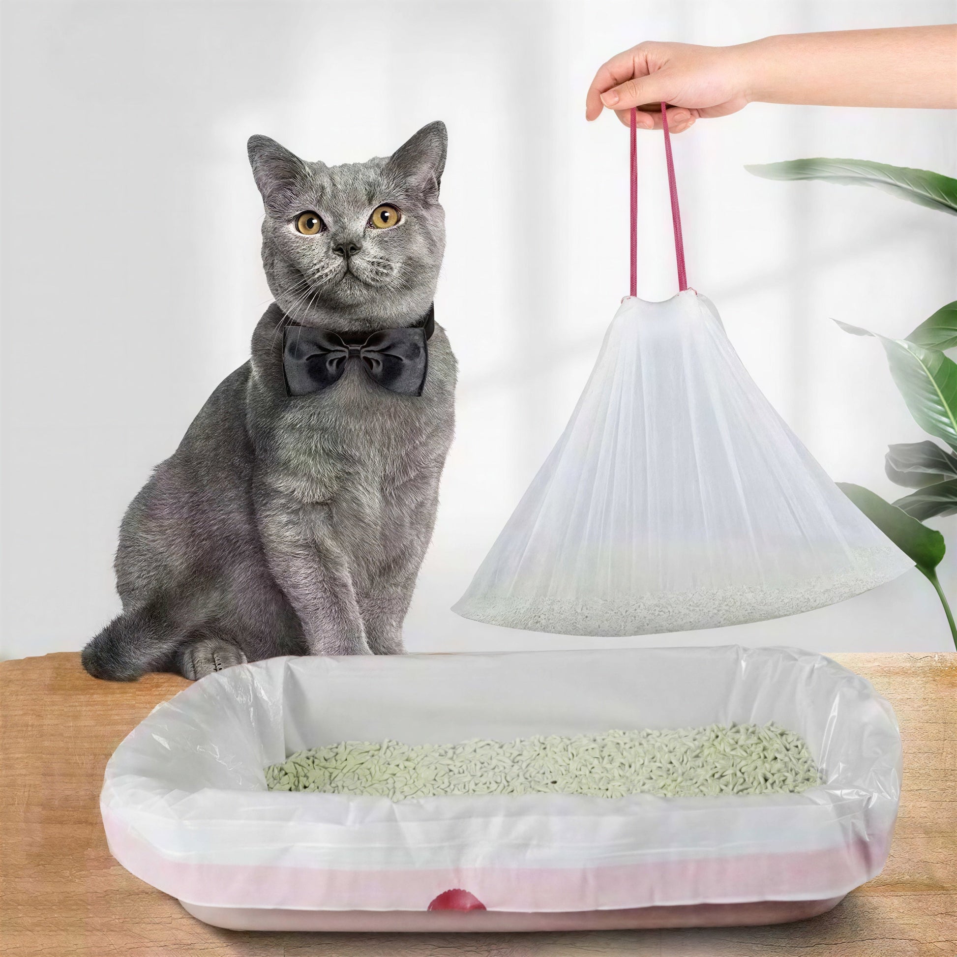 Lot de sept rouleaux de sacs à sable résistant pour chats Pour toi Mon chat