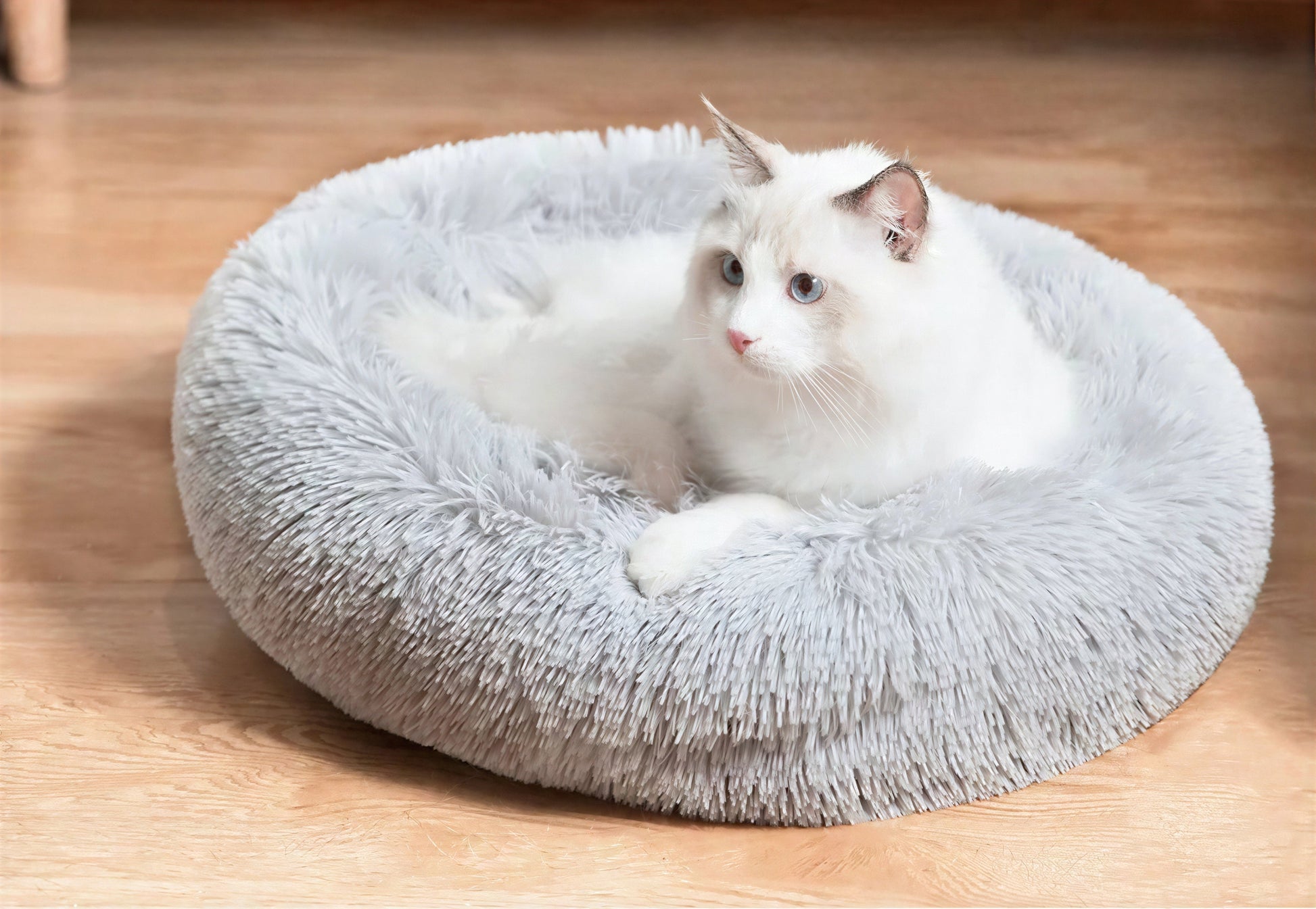 Lit à long poil apaisant en forme de donut pour gros chat Pour toi Mon chat