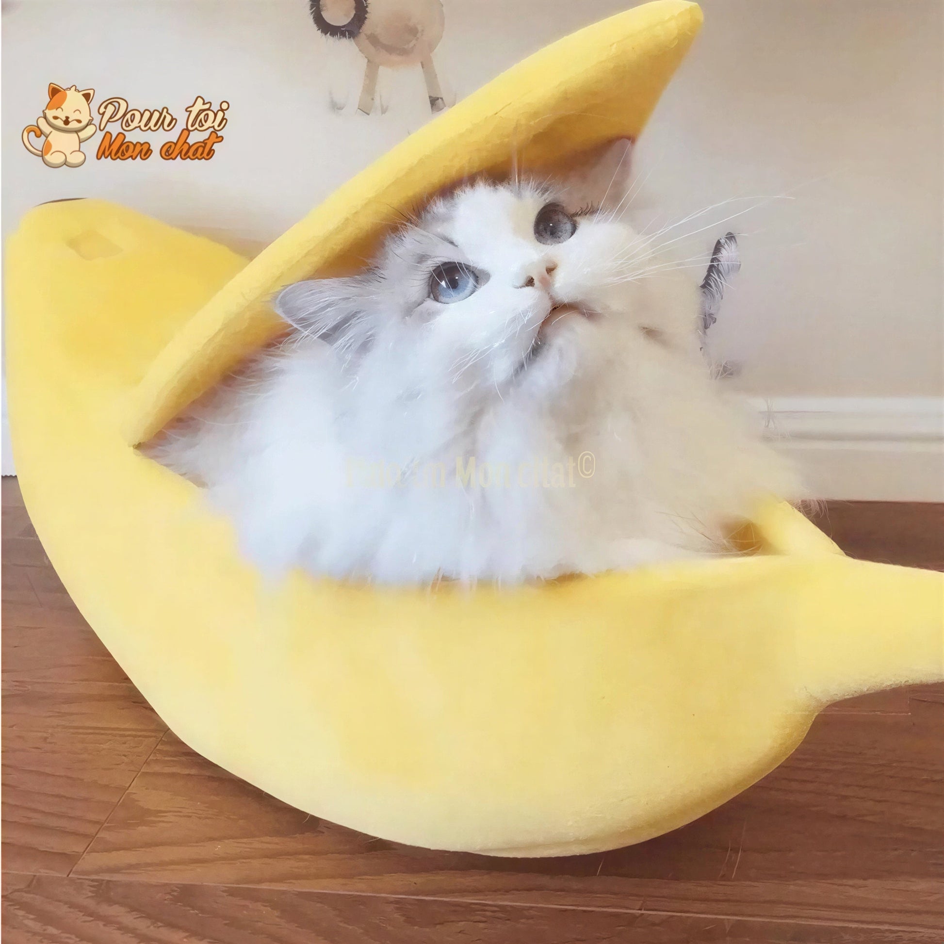 LIT BANANE POUR CHAT – Banana’Chat™ Pour toi Mon chat