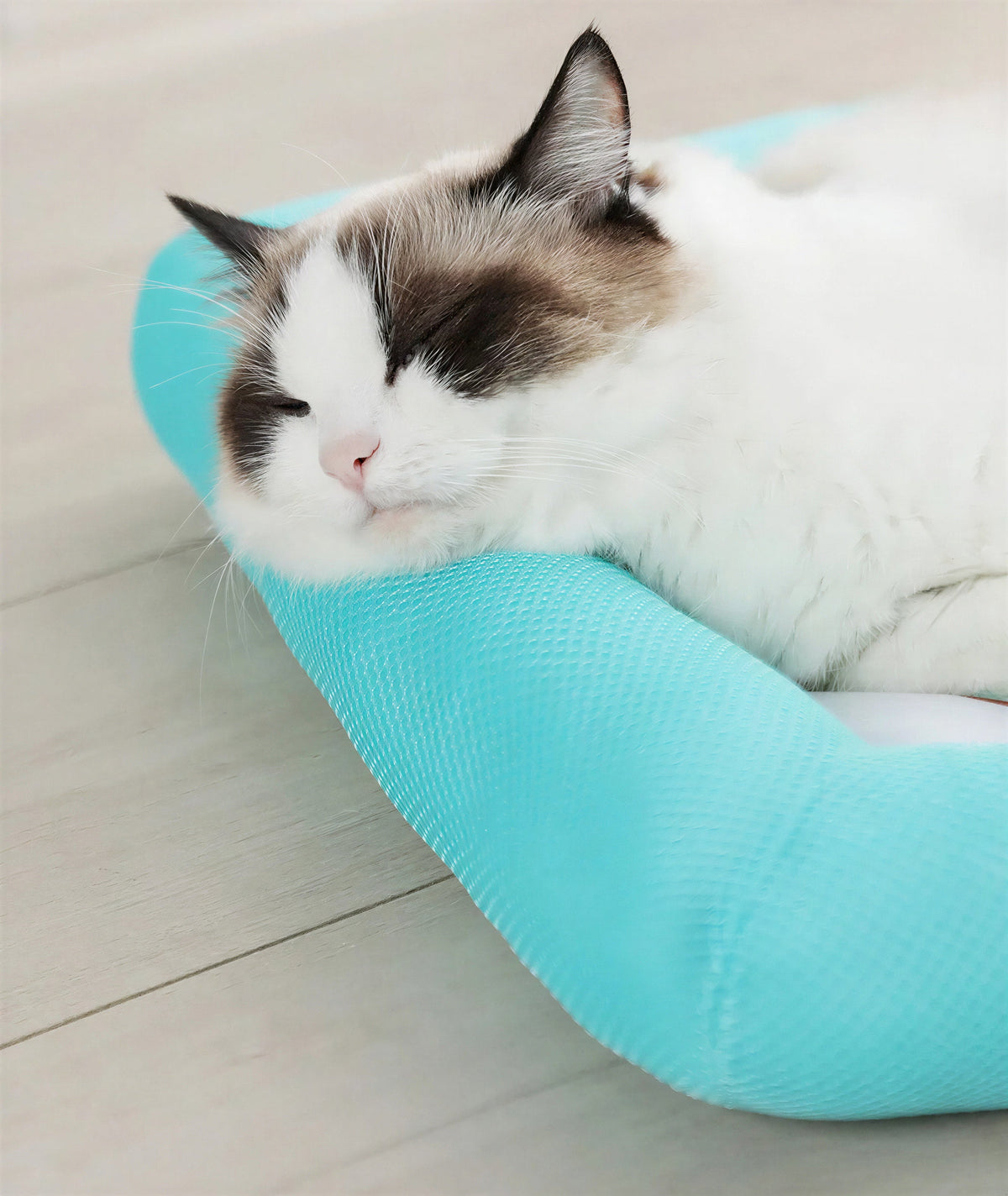Lit d'été rafraichissant portable et léger en maille pour chat Pour toi Mon chat