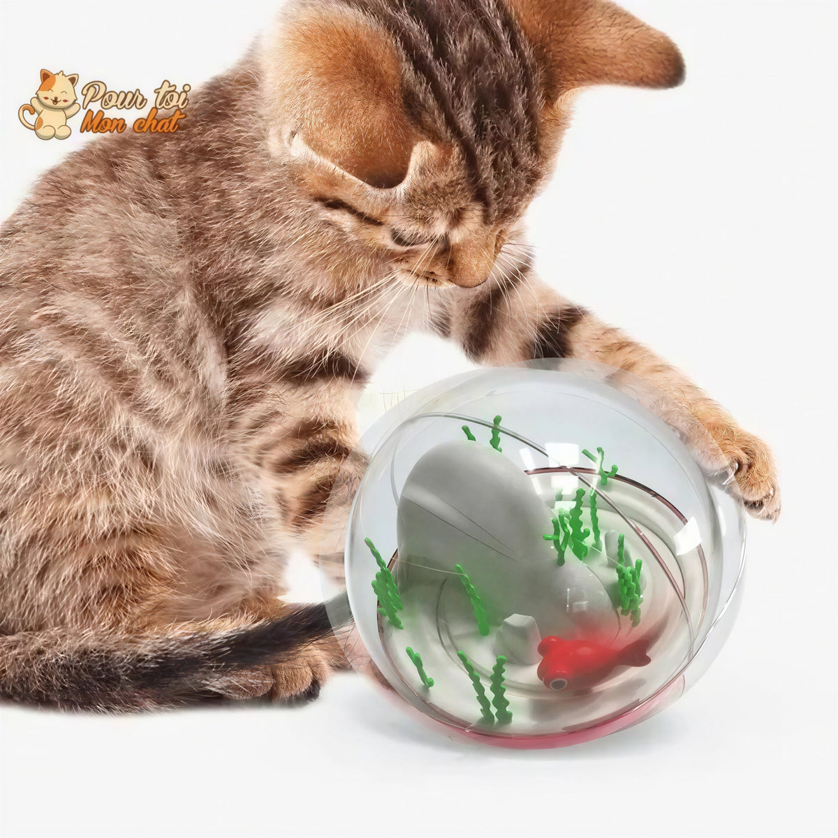 Balle de jeu interactive “aquarium” pour chat - AQUA'CHAT™ Pour toi Mon chat