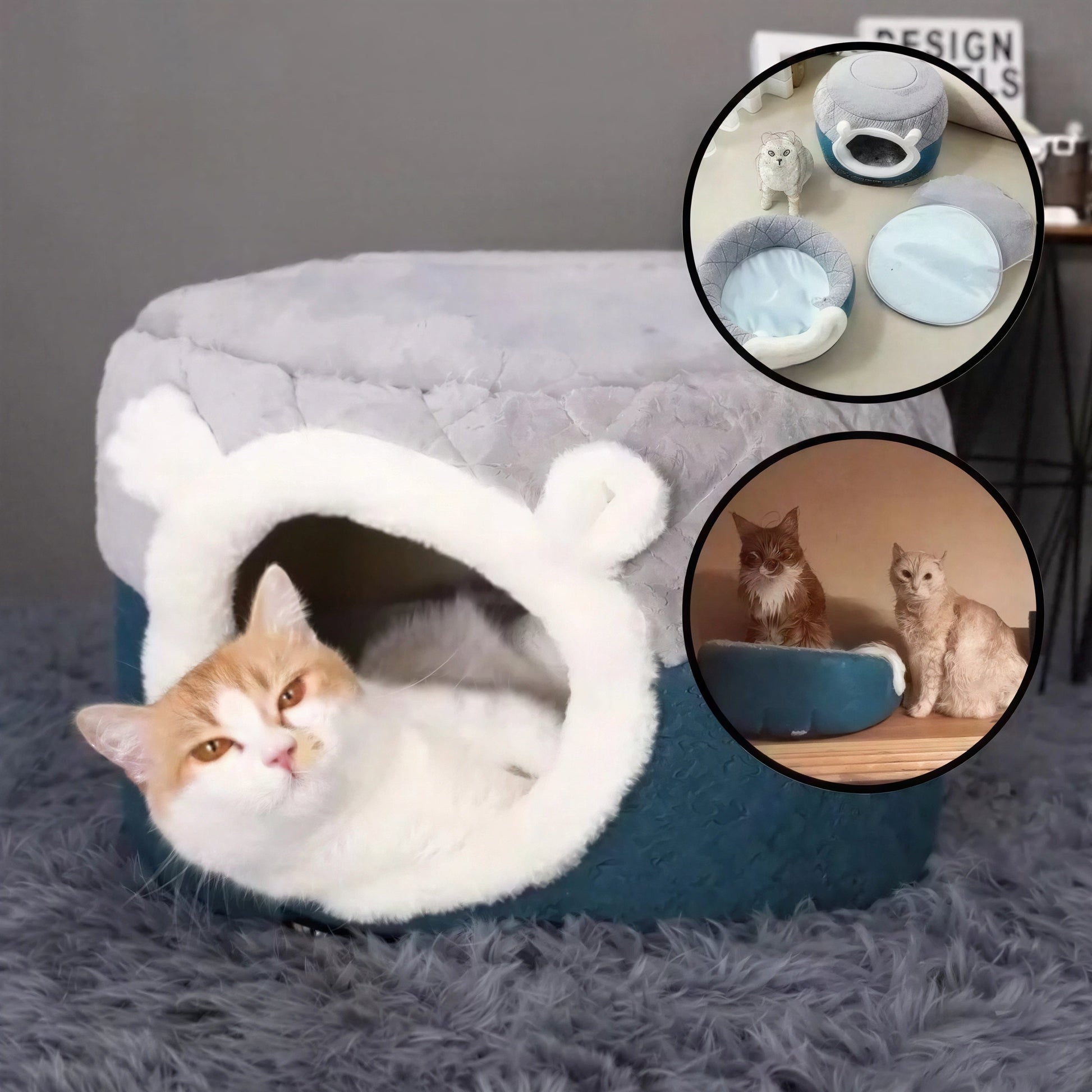Panier Chat Coussin & Grotte – le Refuge Douillet pour Votre Félin ! Pour toi Mon chat
