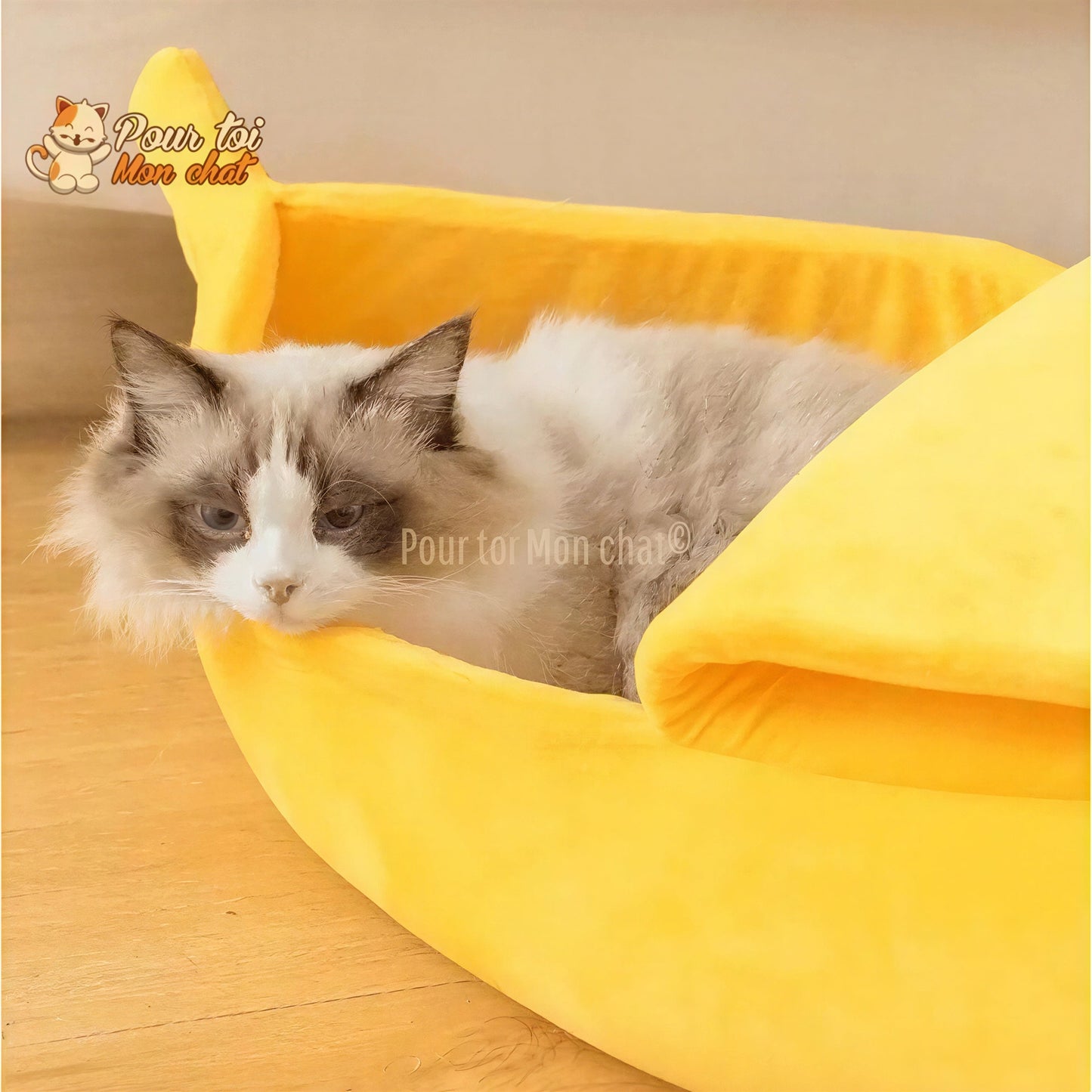 LIT BANANE POUR CHAT – Banana’Chat™ Pour toi Mon chat