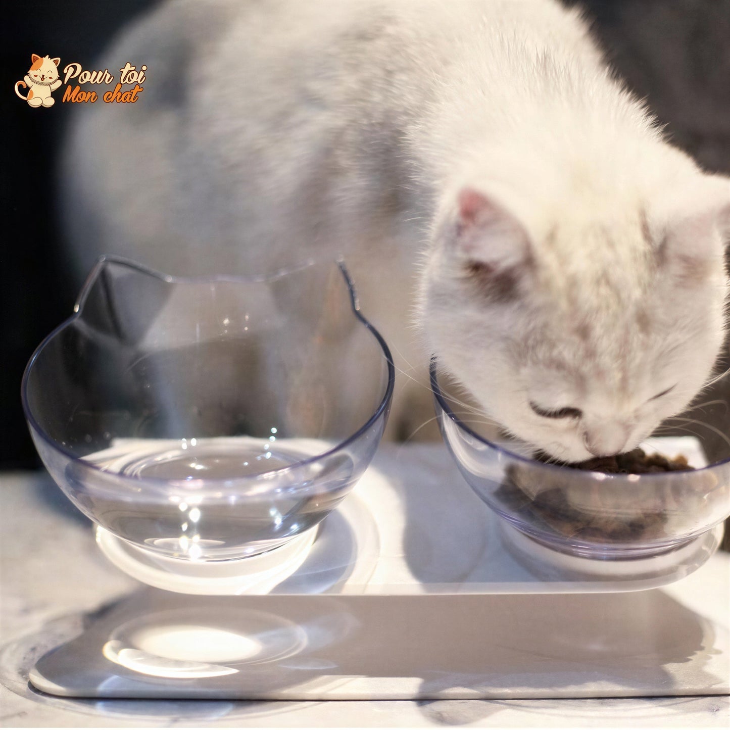 Gamelle Tête de Chat 2 en 1 - Cat'Twin'Bowl™ Pour toi Mon chat