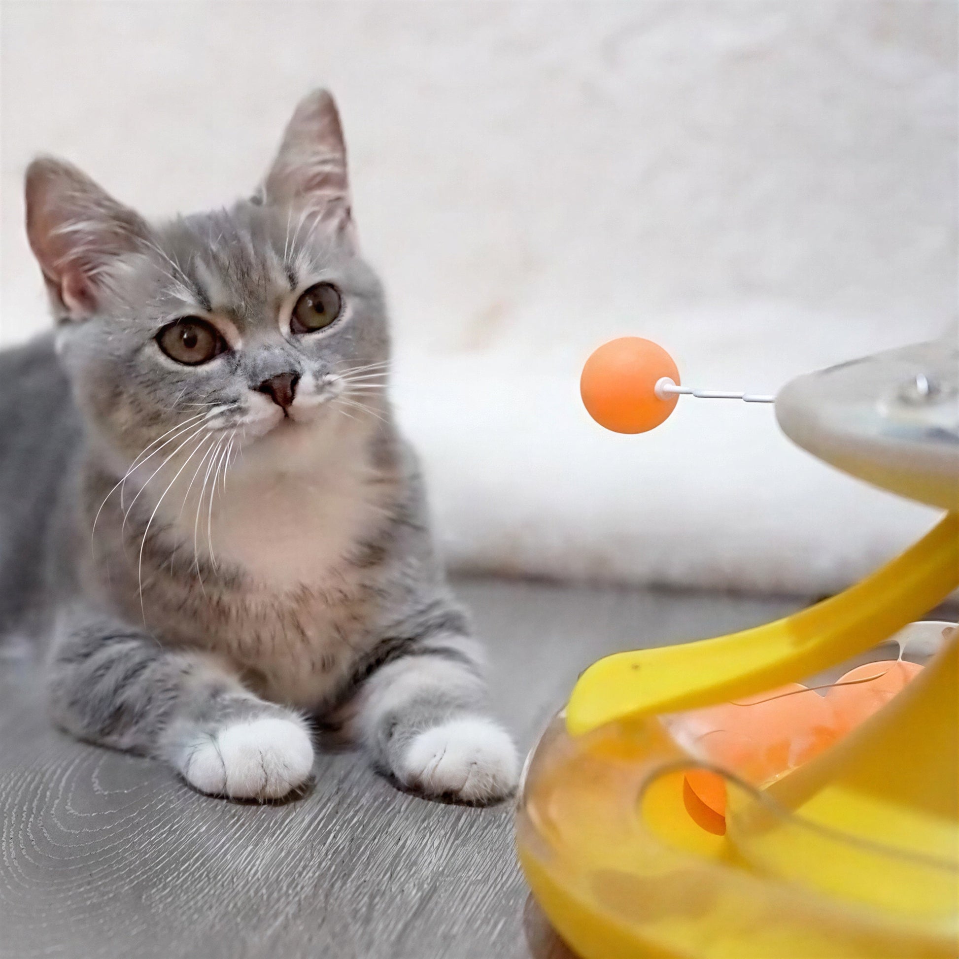 Jouet pour Chat Distributeur de Croquettes - Tournichat™ Pour toi Mon chat