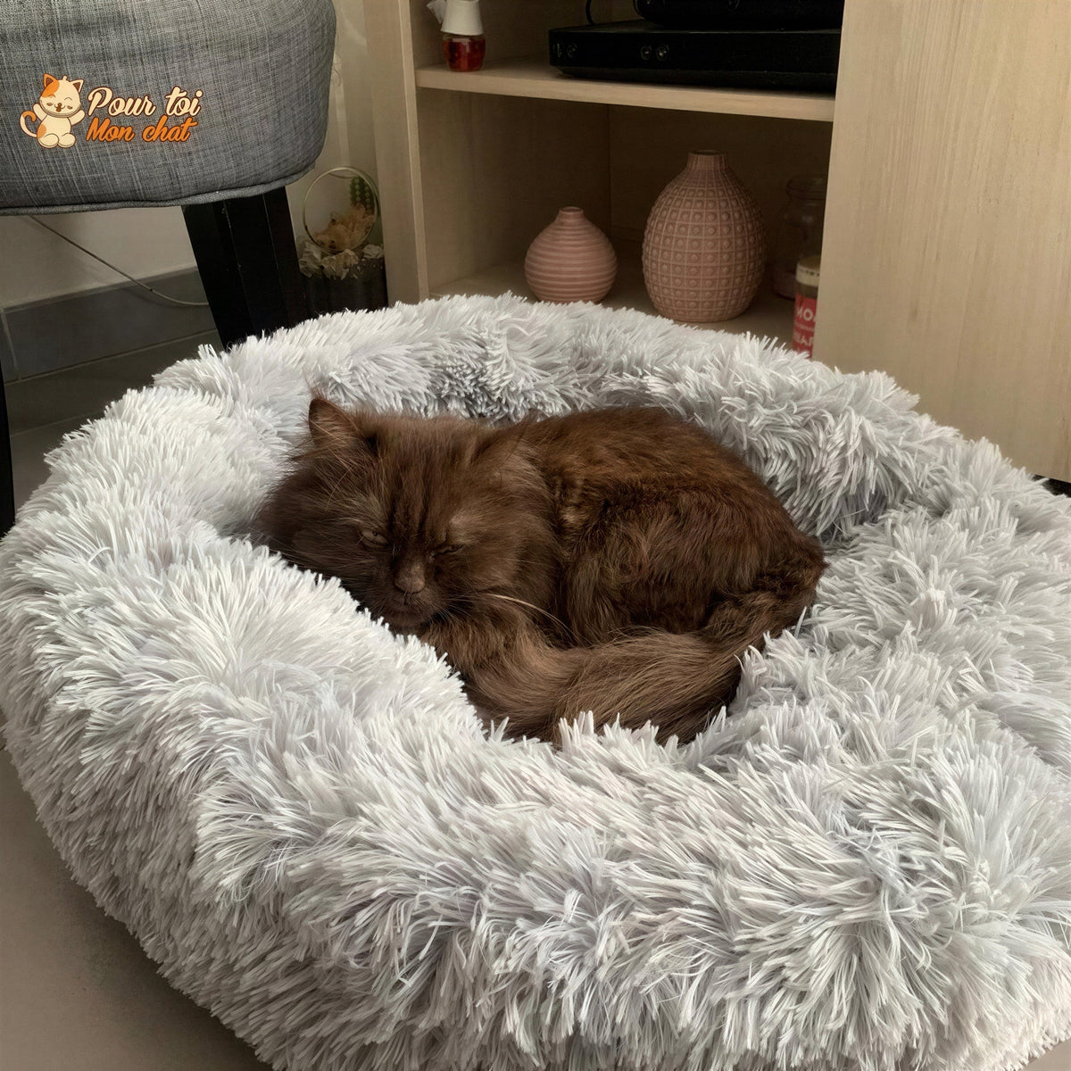 Coussin Douillet pour Chat - CoussinooRelax™ Pour toi Mon chat