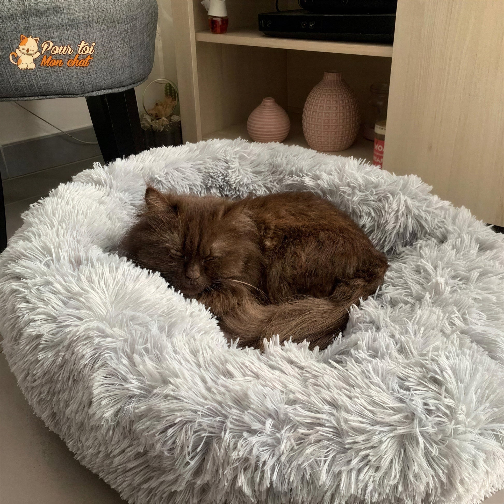 Coussin Douillet pour Chat - CoussinooRelax™ Pour toi Mon chat