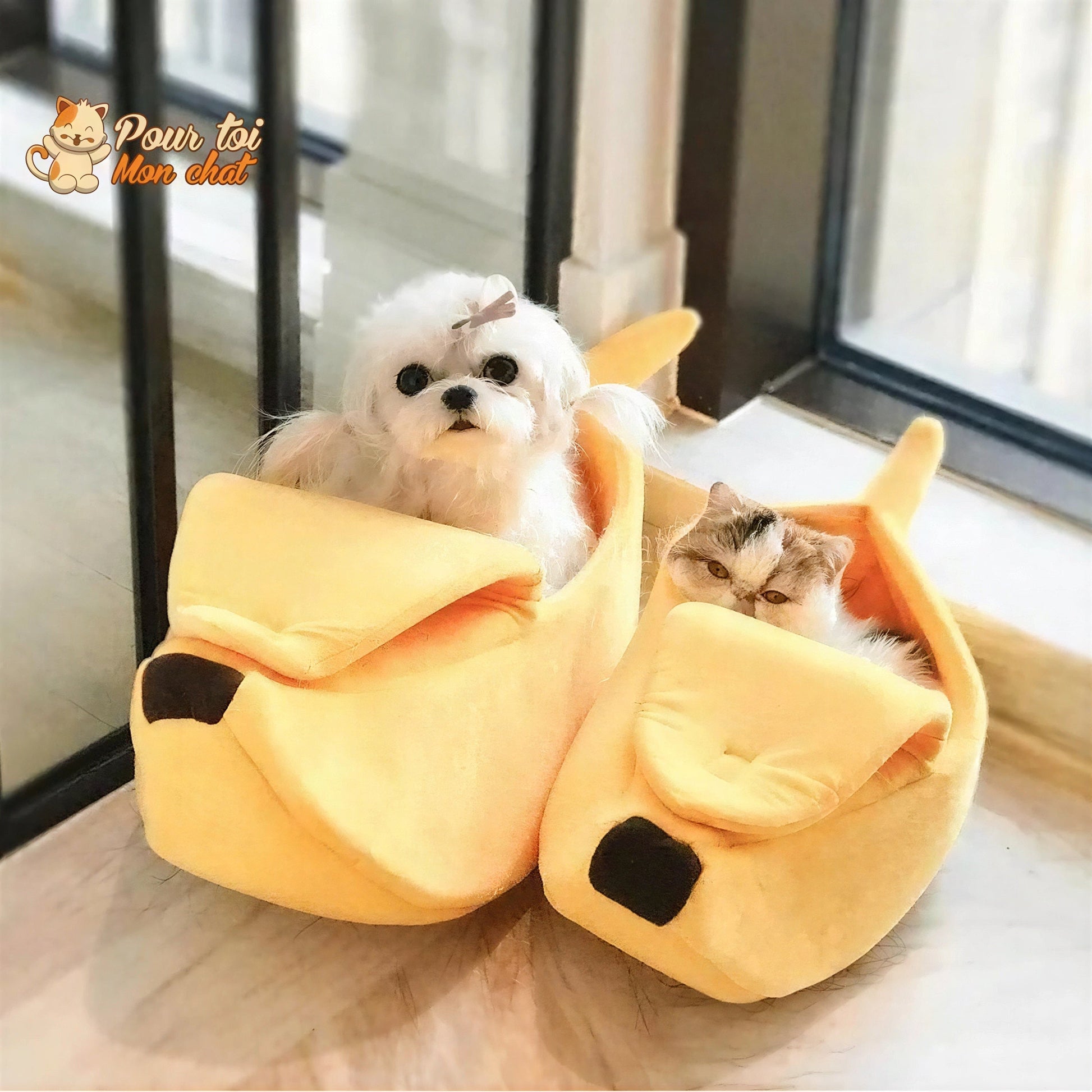 LIT BANANE POUR CHAT – Banana’Chat™ Pour toi Mon chat
