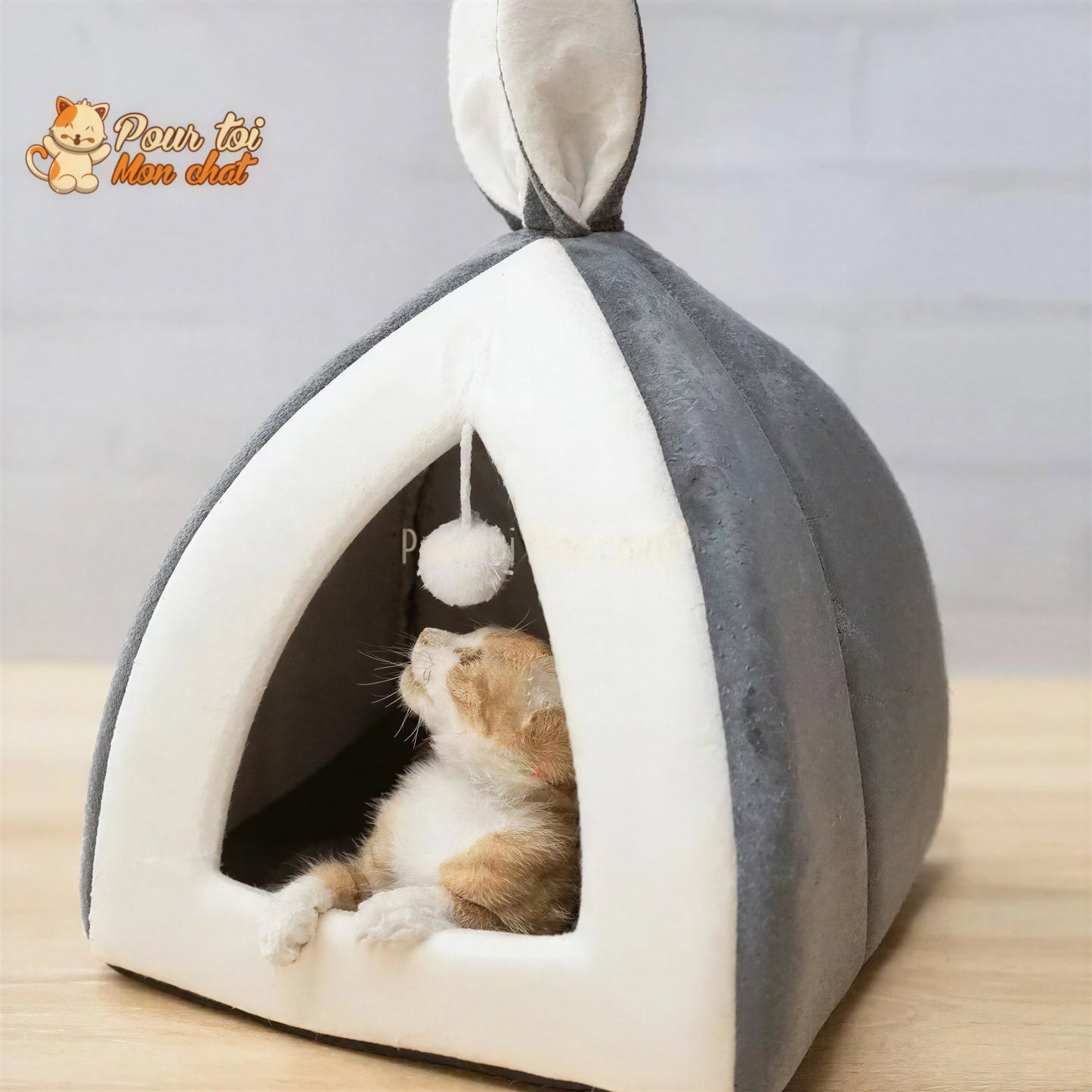NICHE ORIGINALE À OREILLES DE LAPIN POUR CHAT – Oreill’Chat™ Pour toi Mon chat