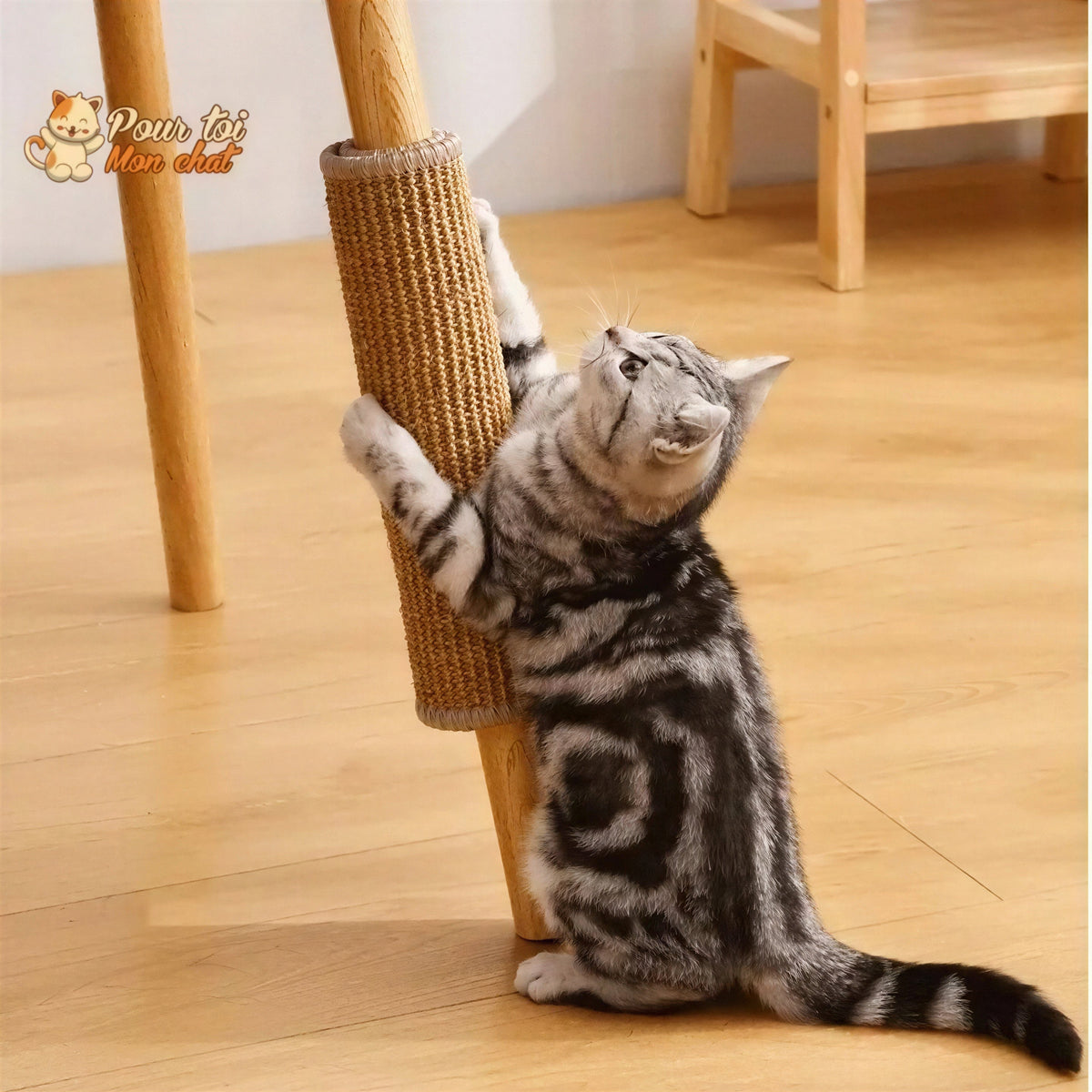 Tapis grattoir pour chats couvre meubles Pour toi Mon chat