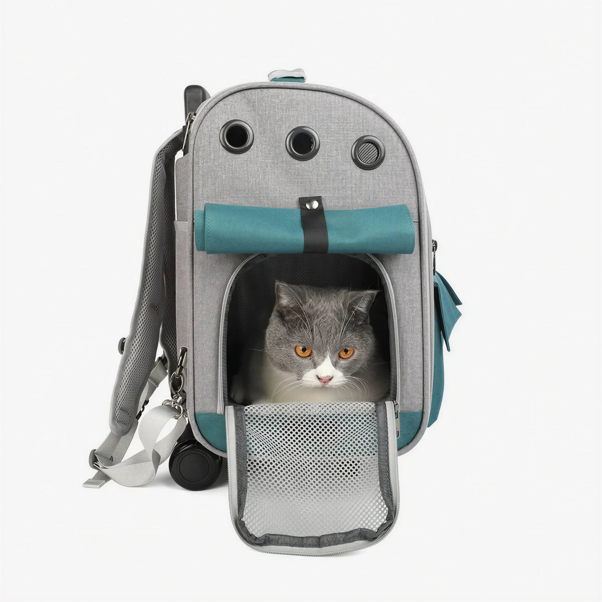 Sac de transport pliable pour chat Pour toi Mon chat