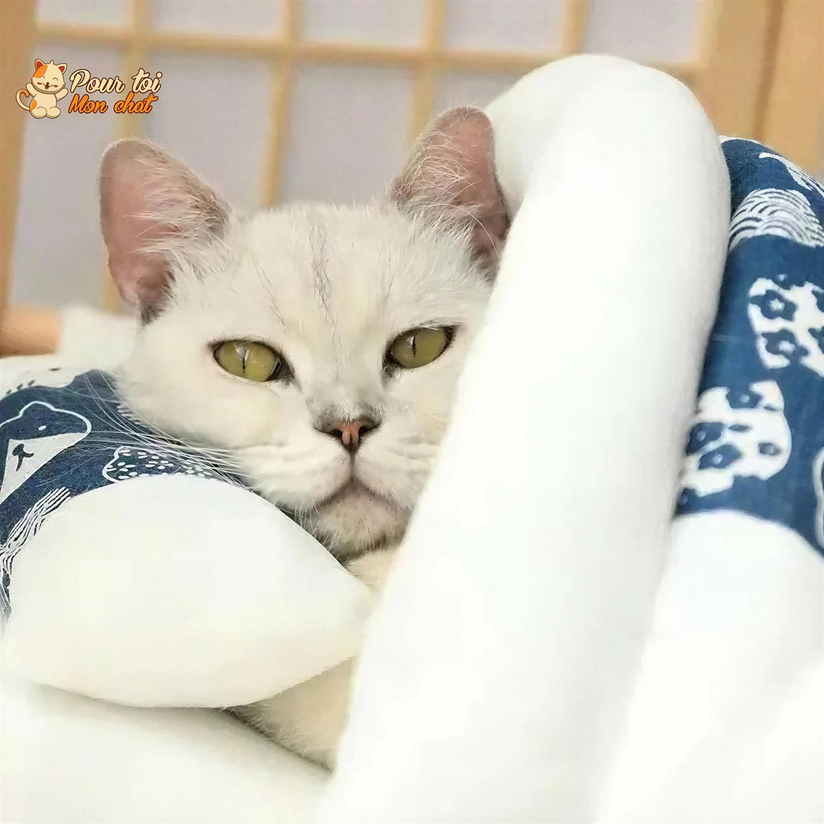 Sac de couchage, housse de lit - pour chat Pour toi Mon chat