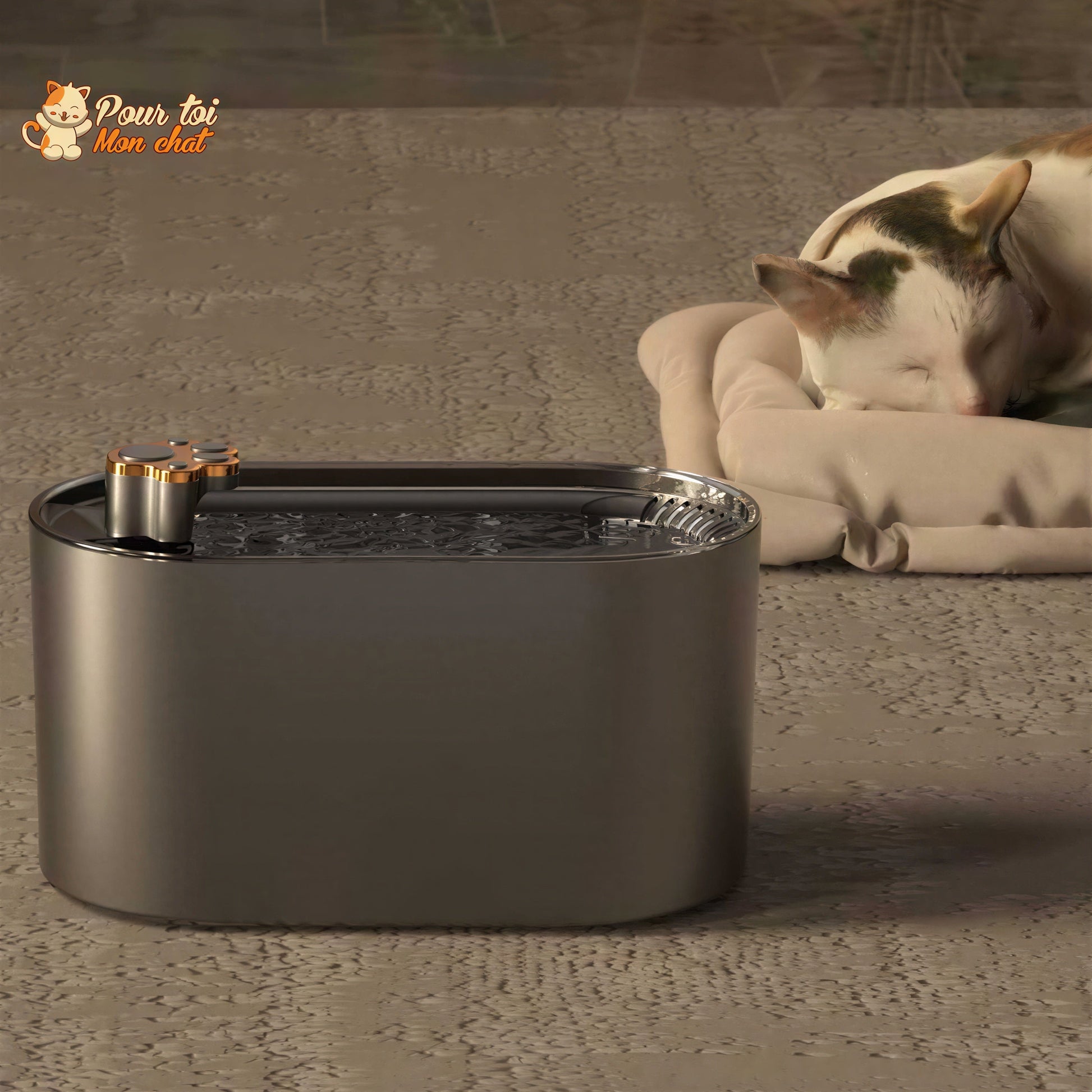 Fontaine d'eau automatique ultra-silencieuse pour chat Pour toi Mon chat