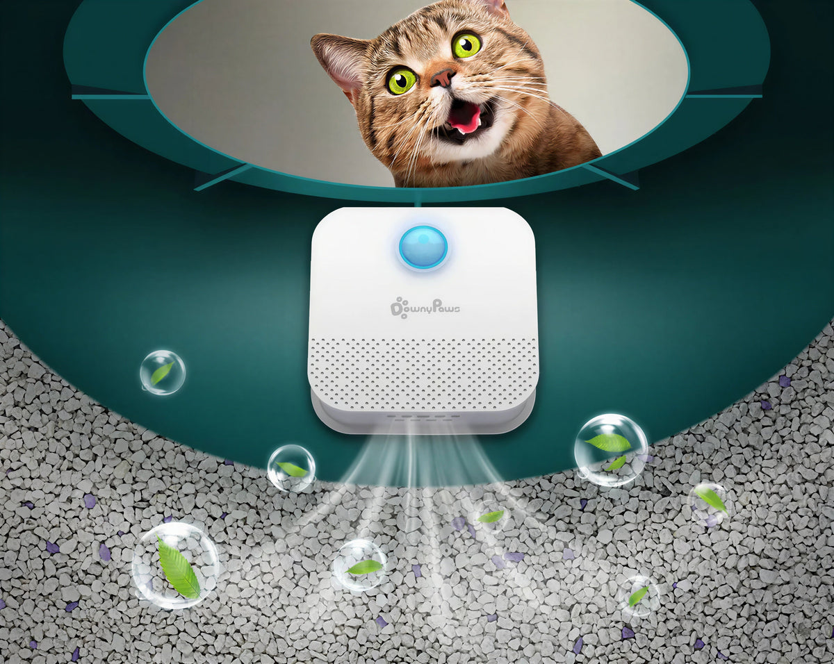 Purificateur d'odeurs intelligent pour chat Pour toi Mon chat