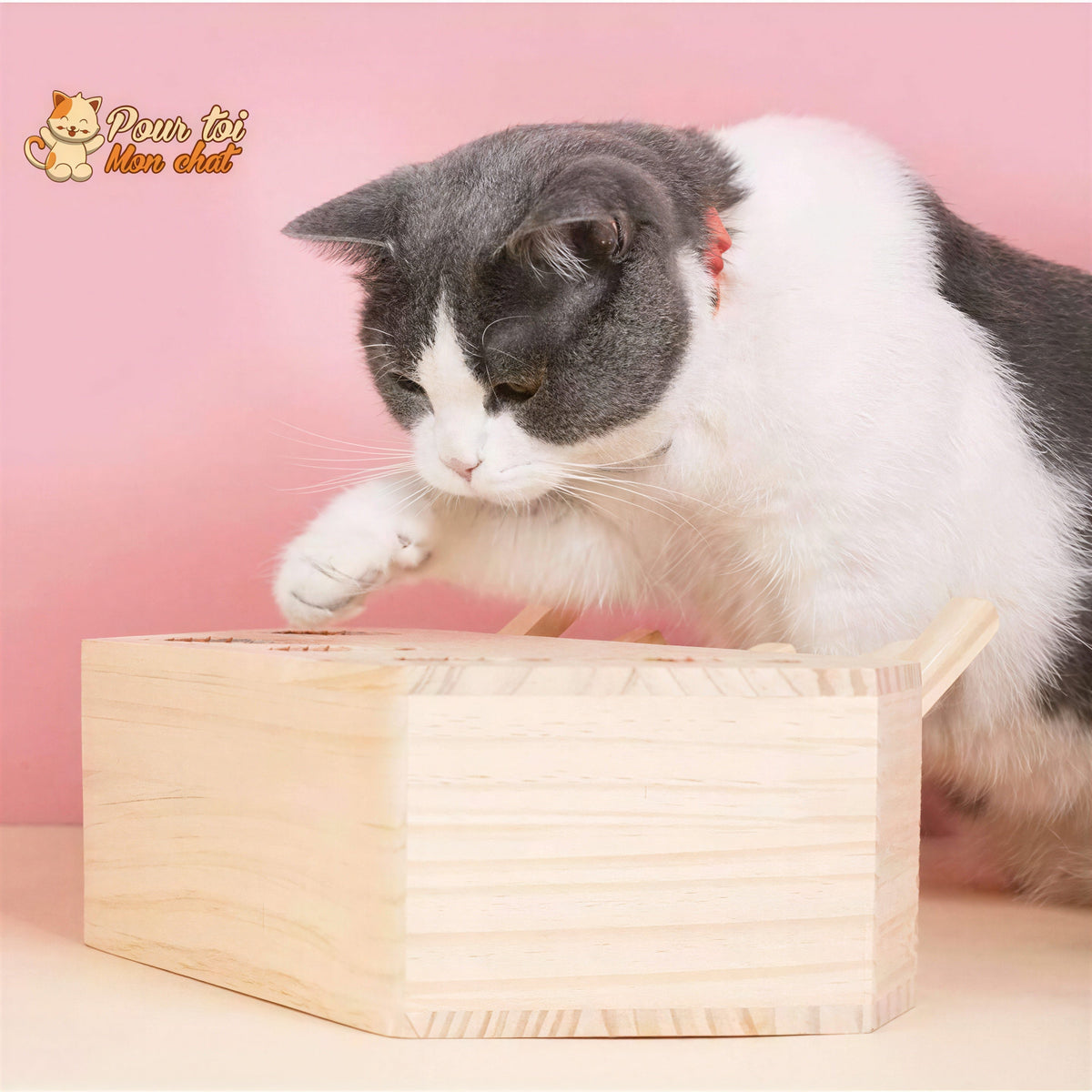 Jeu éducatif en bois - AttrapCat'™ Pour toi Mon chat