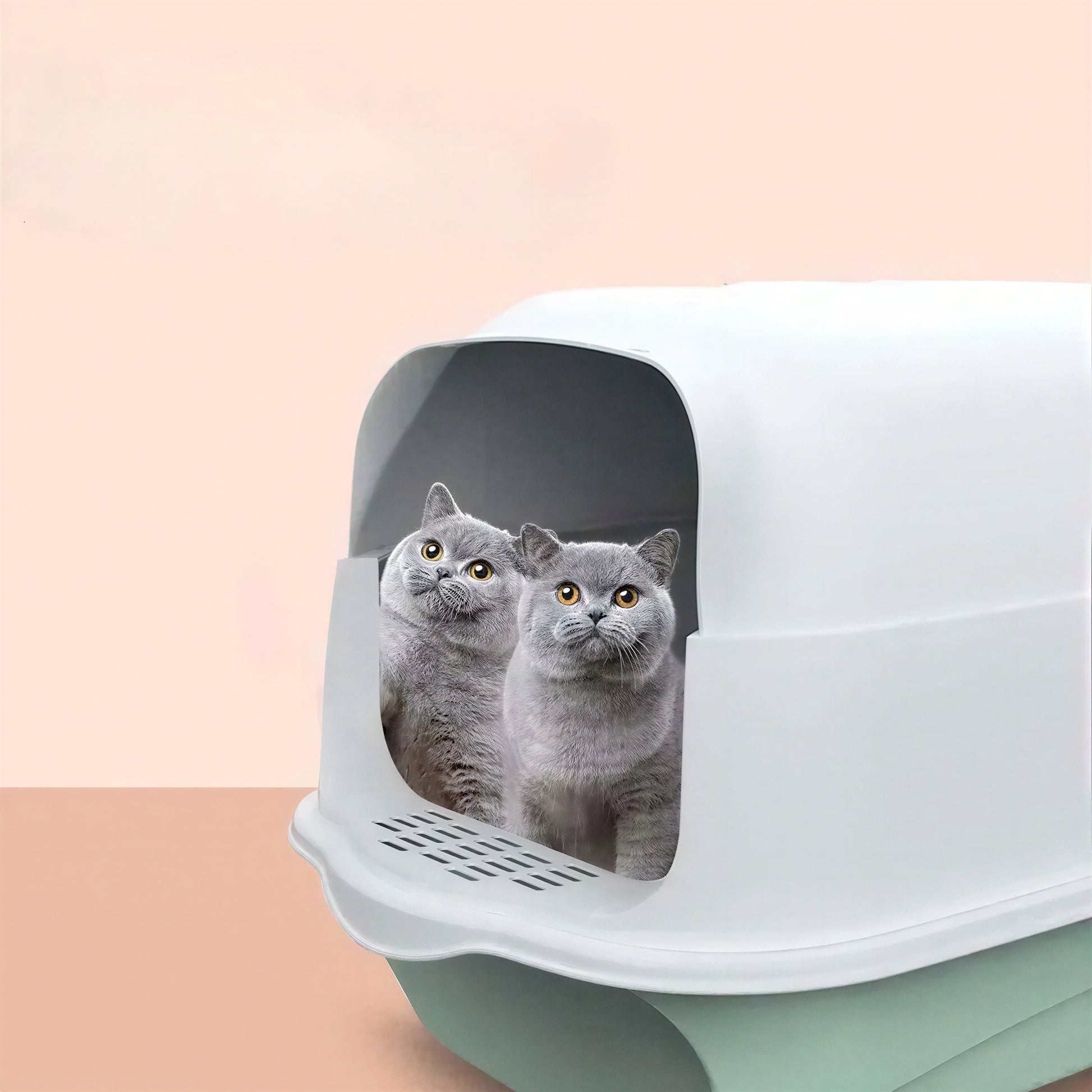 Bac à litière pour chat entièrement fermé Pour toi Mon chat
