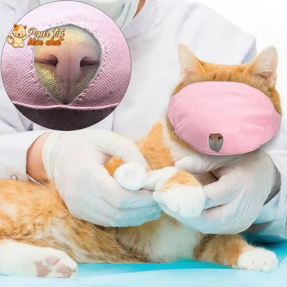 Muselière respirante en nylon - POUR CHAT – Masque4Cat™ Pour toi Mon chat
