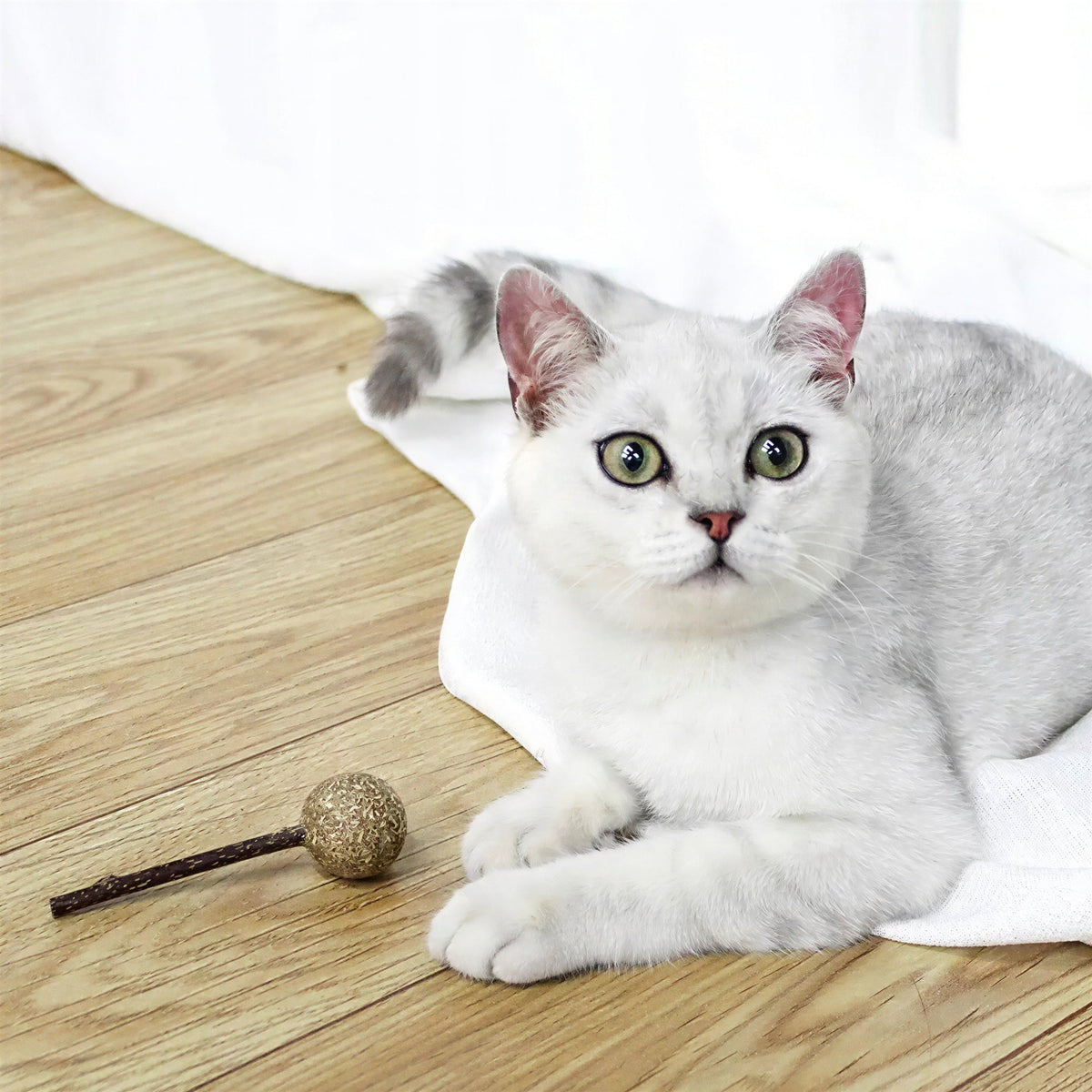 Jouet en herbe à chat en forme de sucette pour chat Pour toi Mon chat