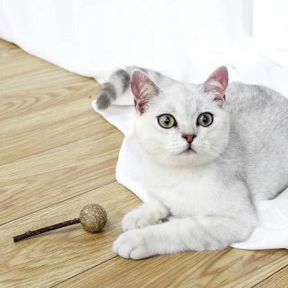 Jouet en herbe à chat en forme de sucette pour chat Pour toi Mon chat