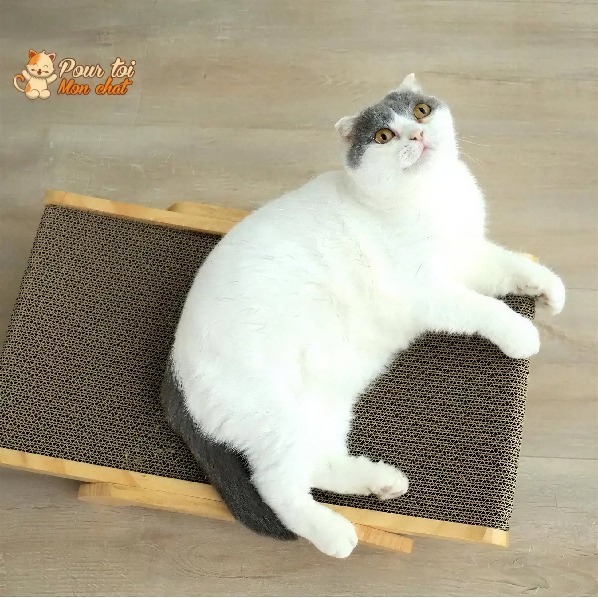 La planche à gratter 3 en 1 Griffoir, Lit, Jouet - pour Chat - Grat’Minou™ Pour toi Mon chat