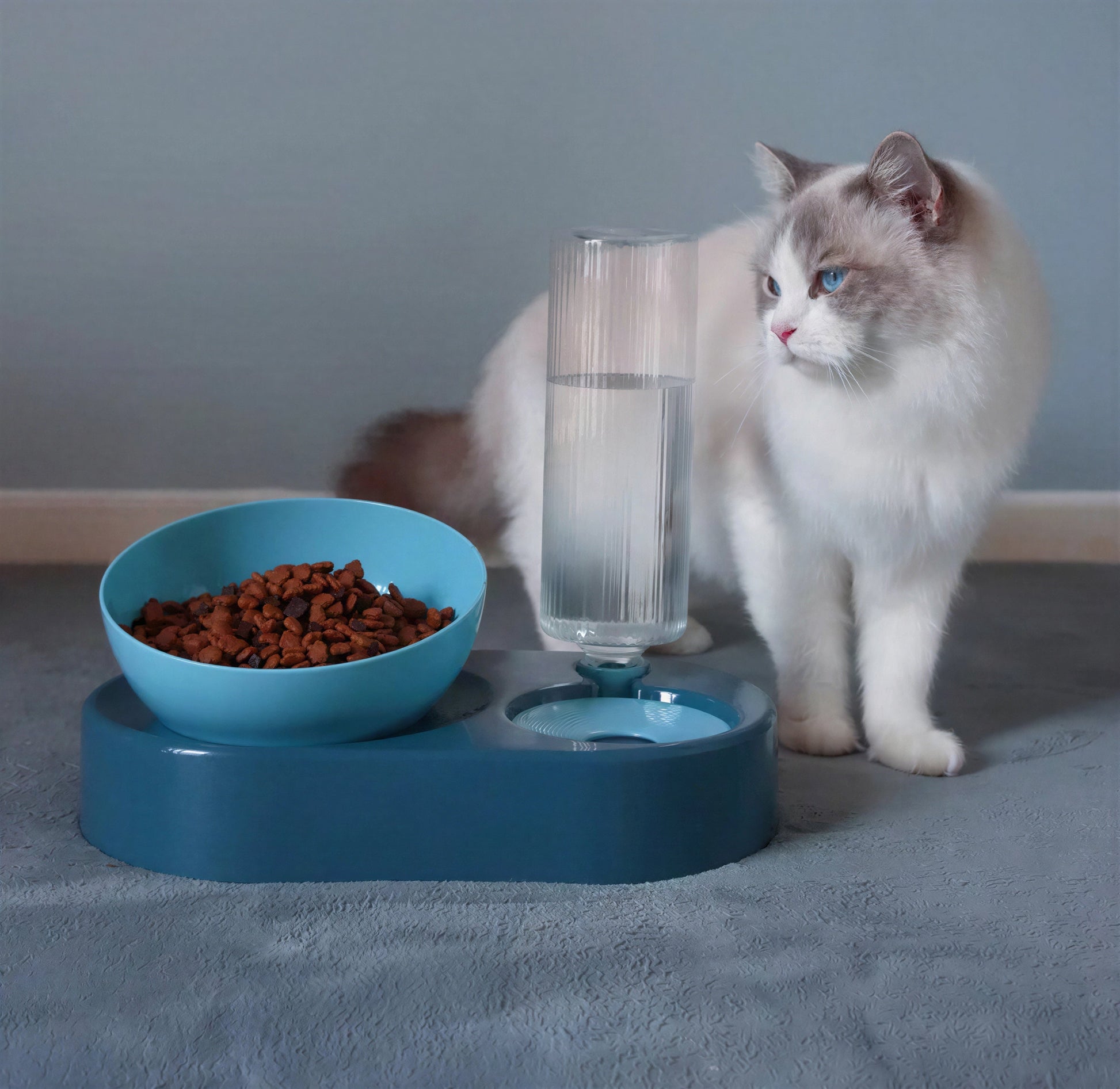 Double bol pour chat avec support surélevé Pour toi Mon chat