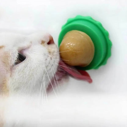Herbe à Chat en Forme de Boules Rotatives Pour toi Mon chat