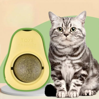 Herbe à Chat dans un Jouet en Forme d'Avocat Pour toi Mon chat