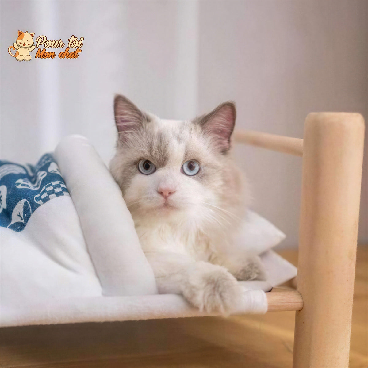 Lit Chaud et Confortable - Lit et Sac de couchage pour Chats - Bedcat™ Pour toi Mon chat