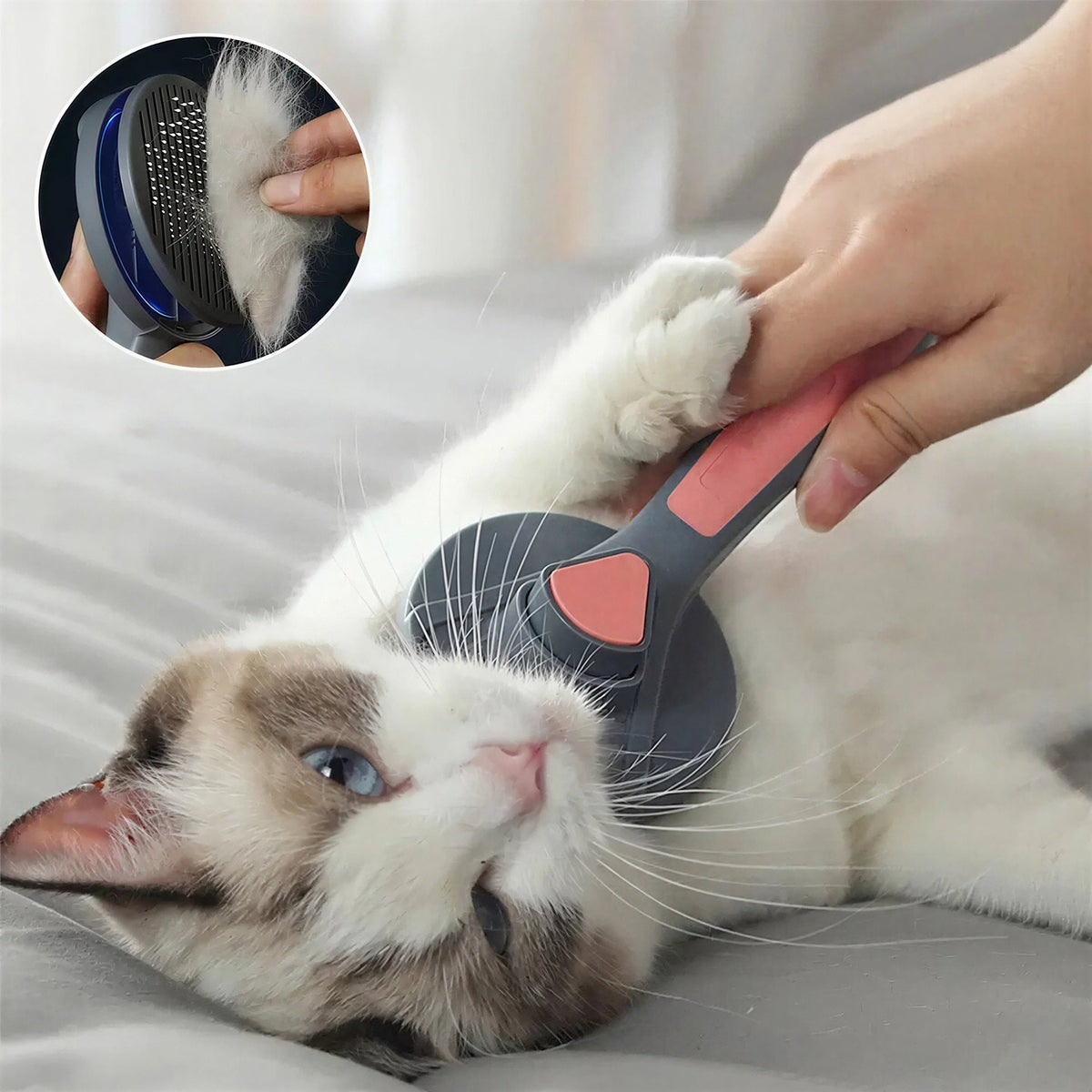 Brosse de toilettage avec bouton en acier inoxydable pour chat Pour toi Mon chat