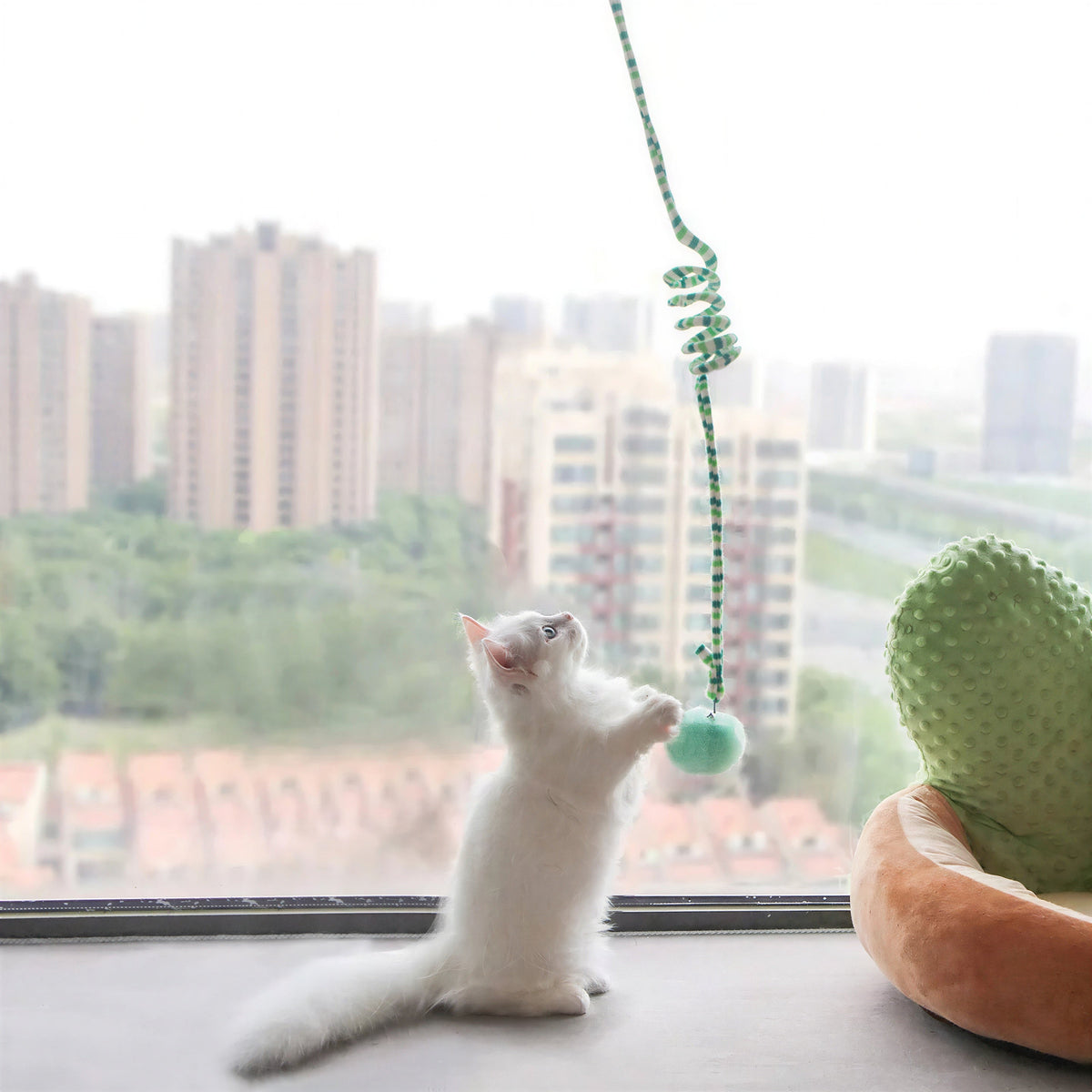 Jouet interactif à suspendre pour chaton Pour toi Mon chat