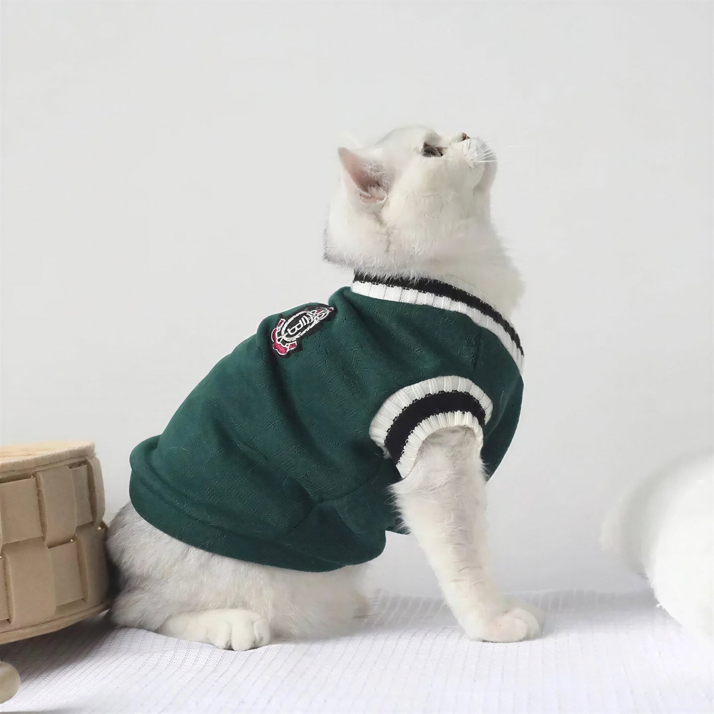 Pull pour Chat en Coton avec un Blason dans le Dos Pour toi Mon chat