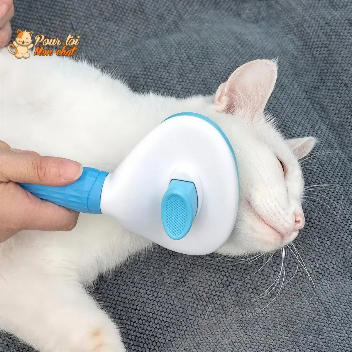 Brosse et peigne pour Poils de Chat - CleanyBrush™ Pour toi Mon chat