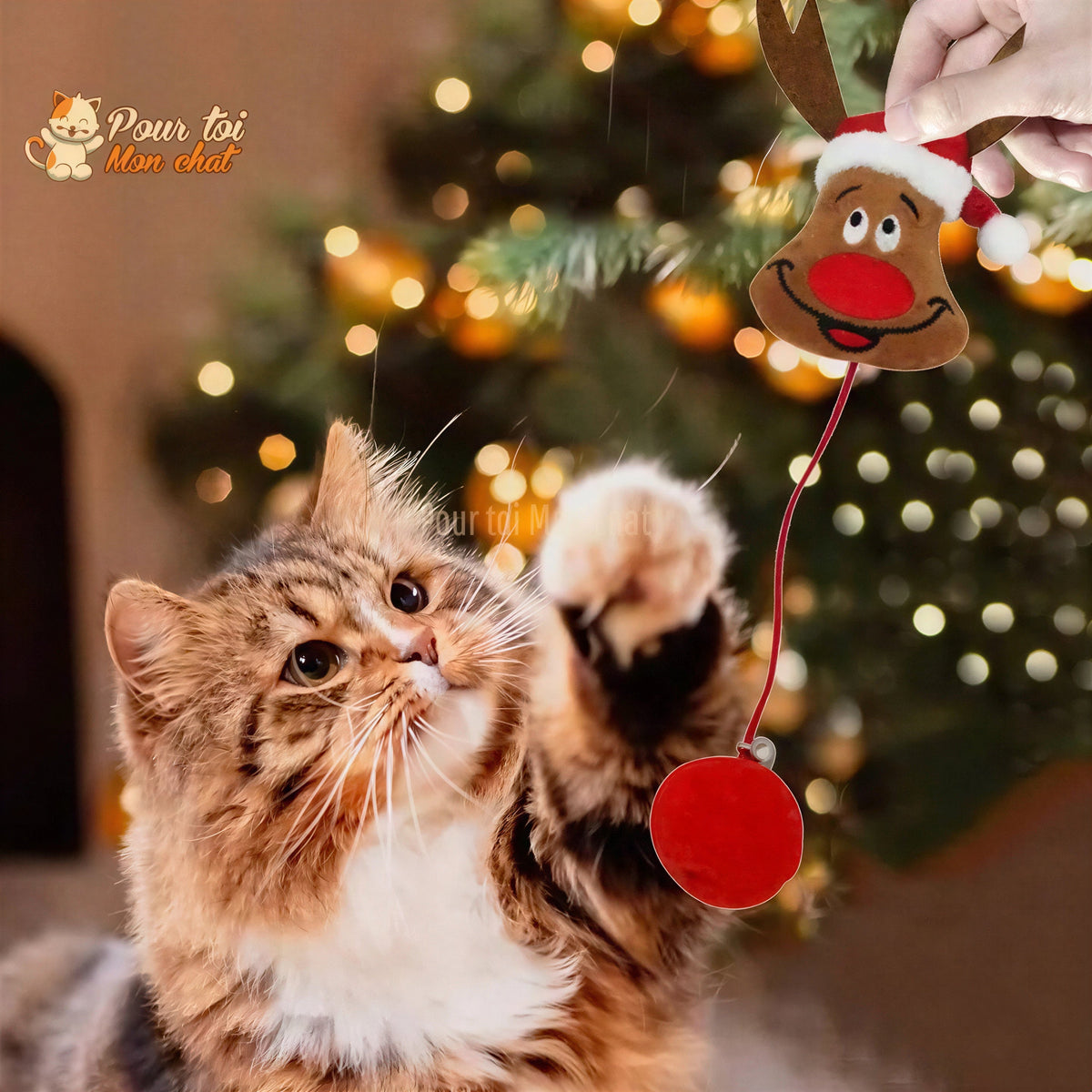 Noël Jouets en Peluche, fourrure, boule, cloche, poupées - Pour Chat - PomponNoëlChat™ Pour toi Mon chat