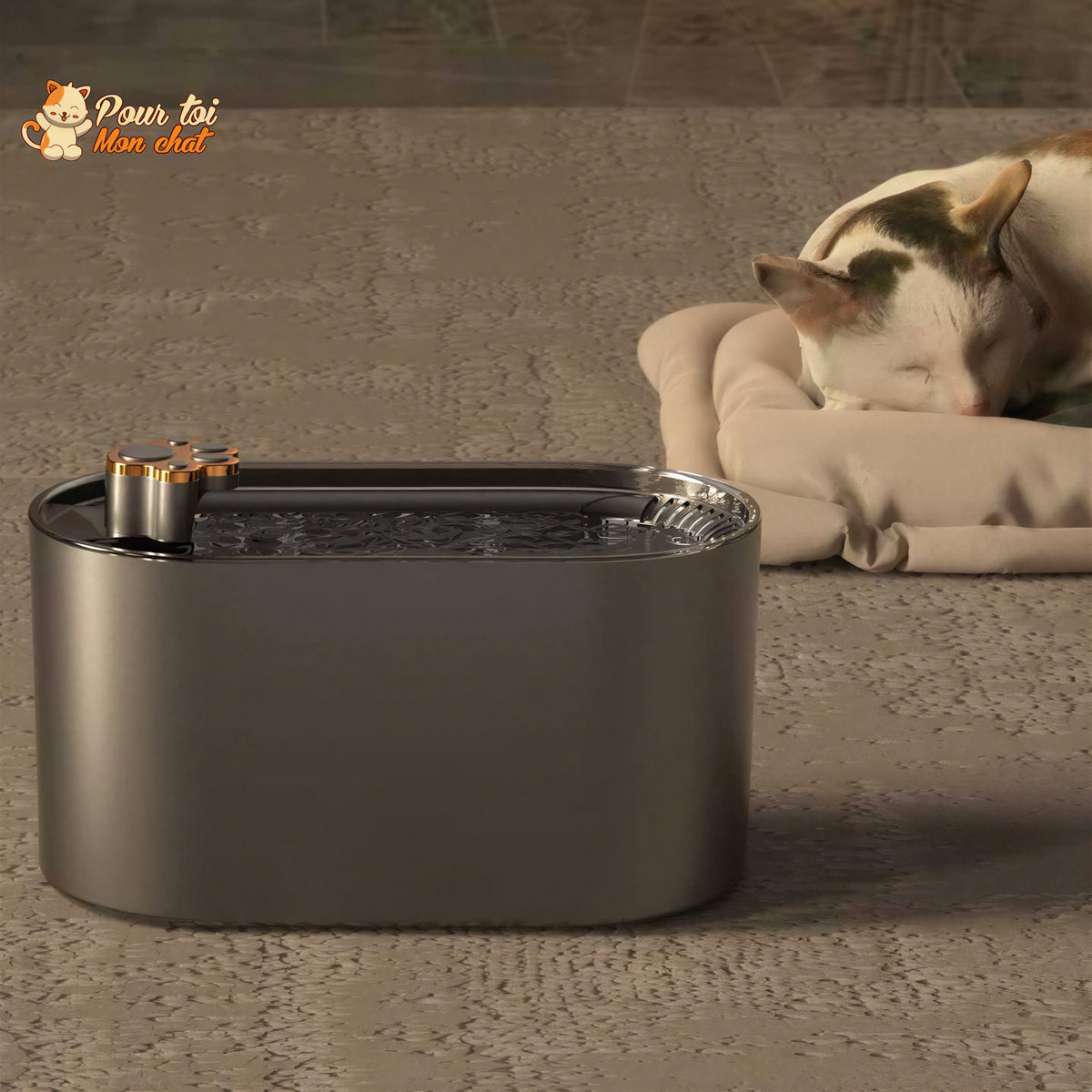 Fontaine d'eau automatique ultra-silencieuse pour chat Pour toi Mon chat