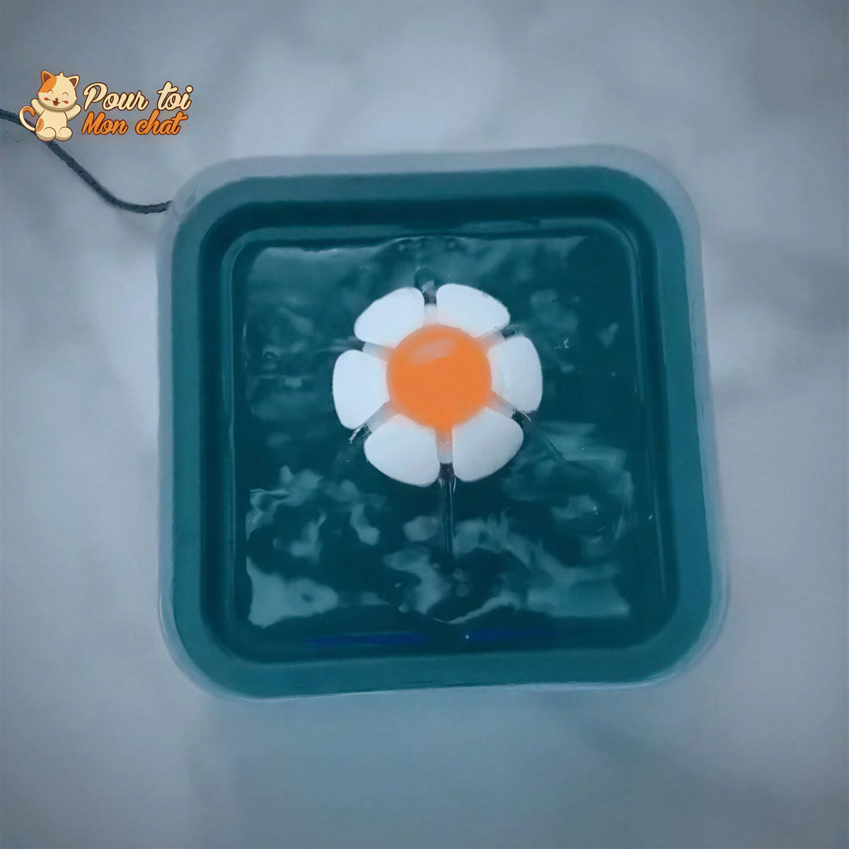 Fontaine à eau pour chats avec éclairage LED Pour toi Mon chat