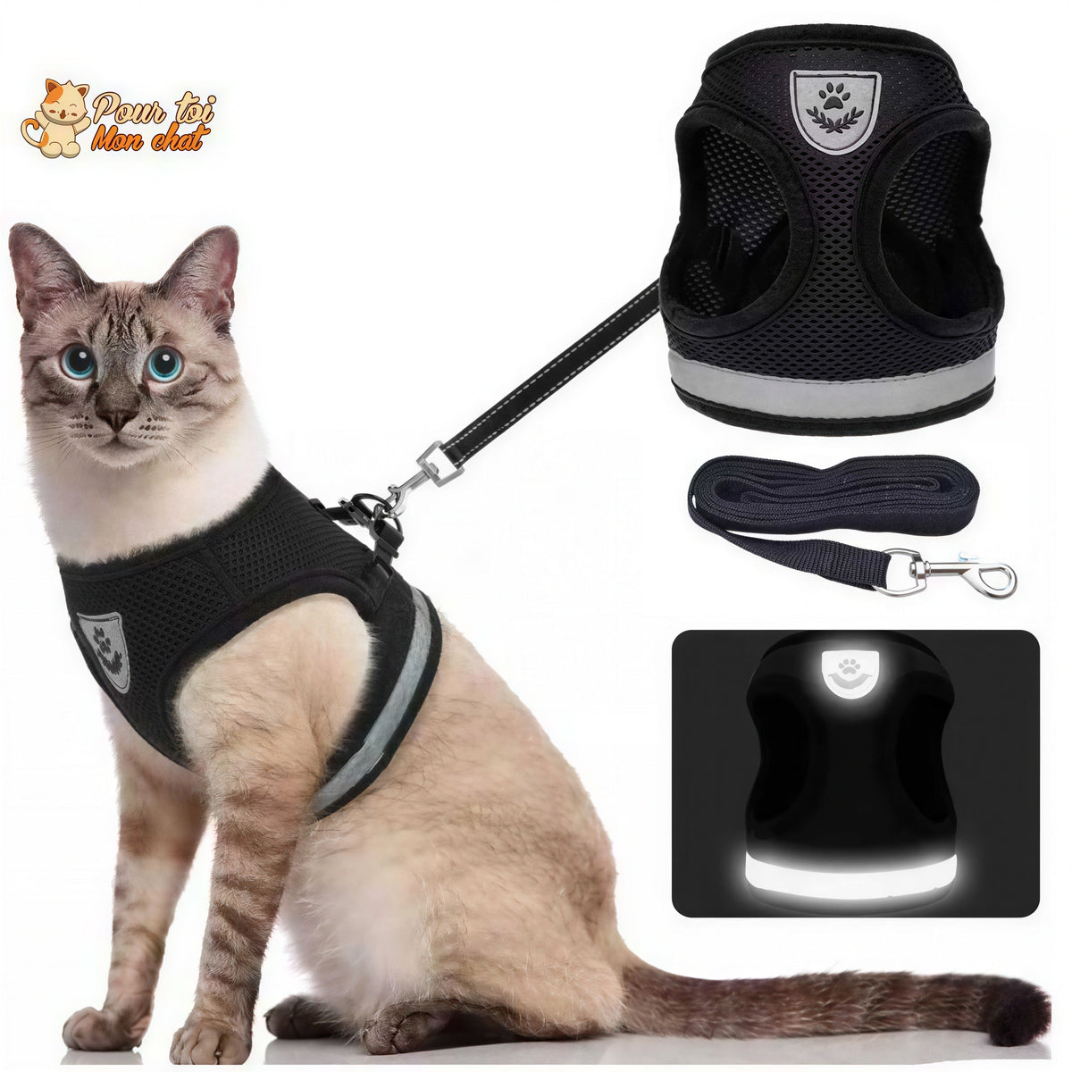 Harnais et laisse respirants pour chat Pour toi Mon chat
