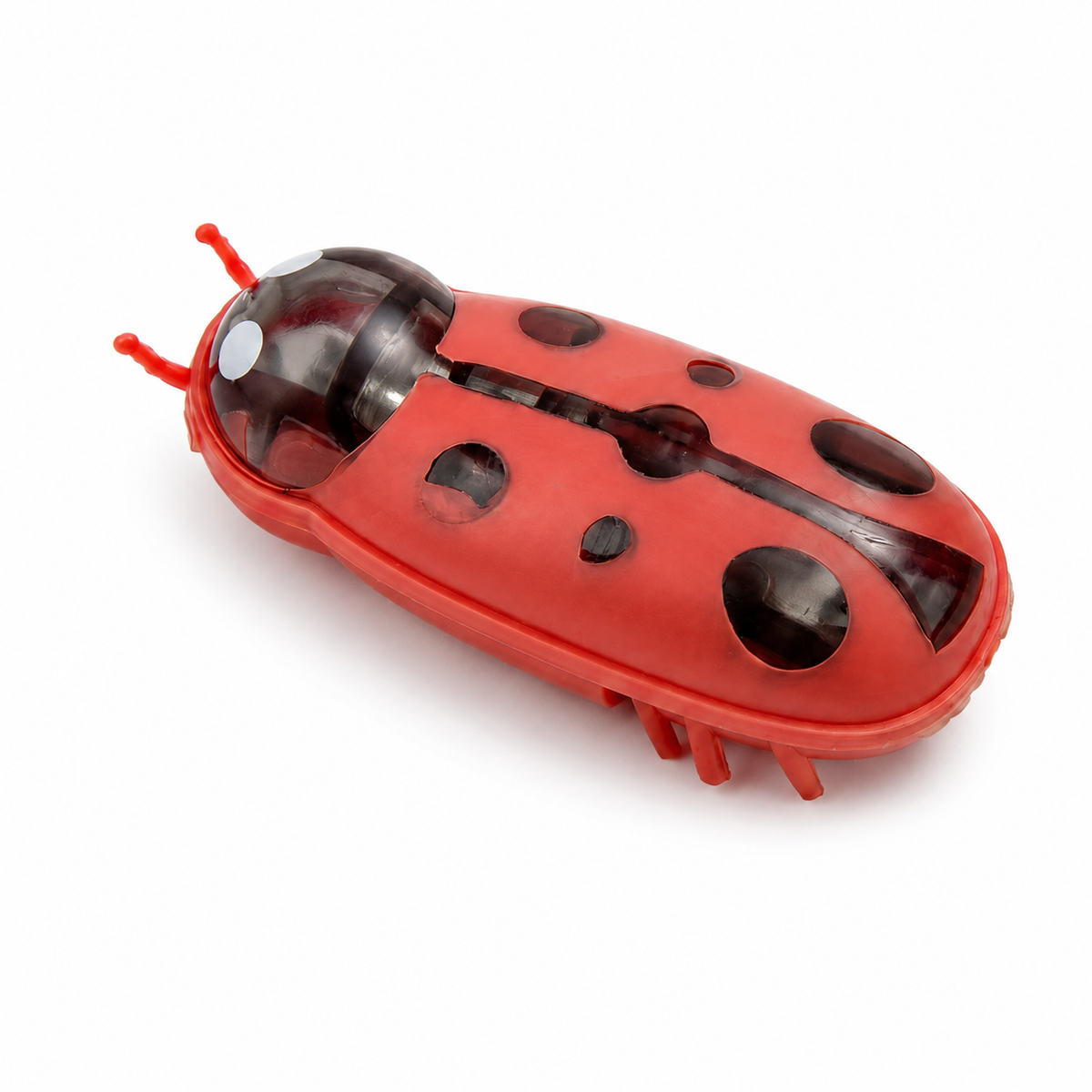 Jouet électrique interactif insecte pour chats Pour toi Mon chat