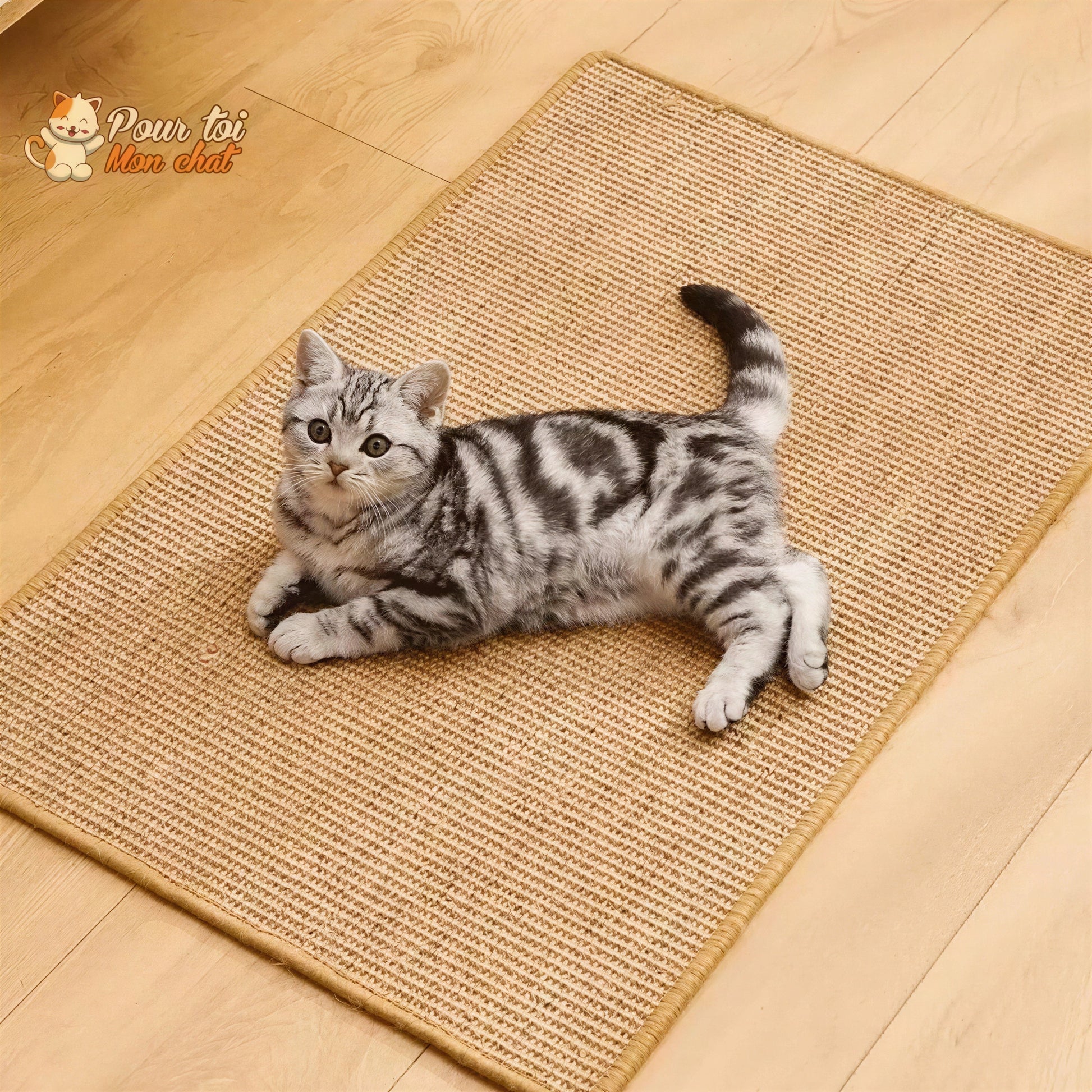 Tapis grattoir pour chats couvre meubles Pour toi Mon chat