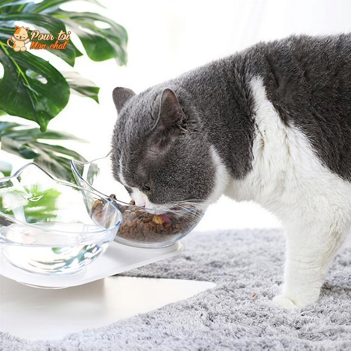 Gamelle Tête de Chat 2 en 1 - Cat'Twin'Bowl™ Pour toi Mon chat